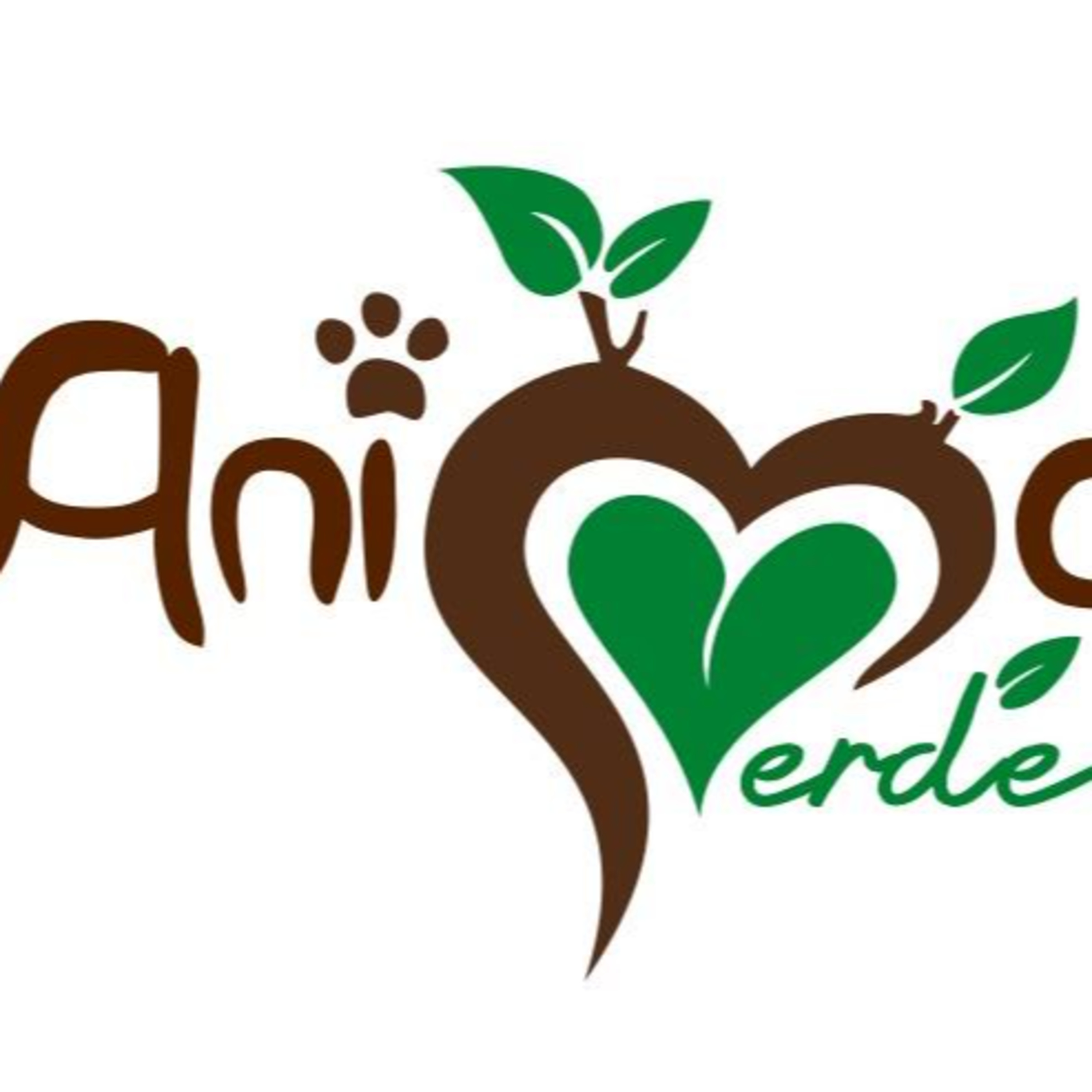 Anima Verde 14 "Come l'olio extravergine di oliva previene il cancro" episode artwork