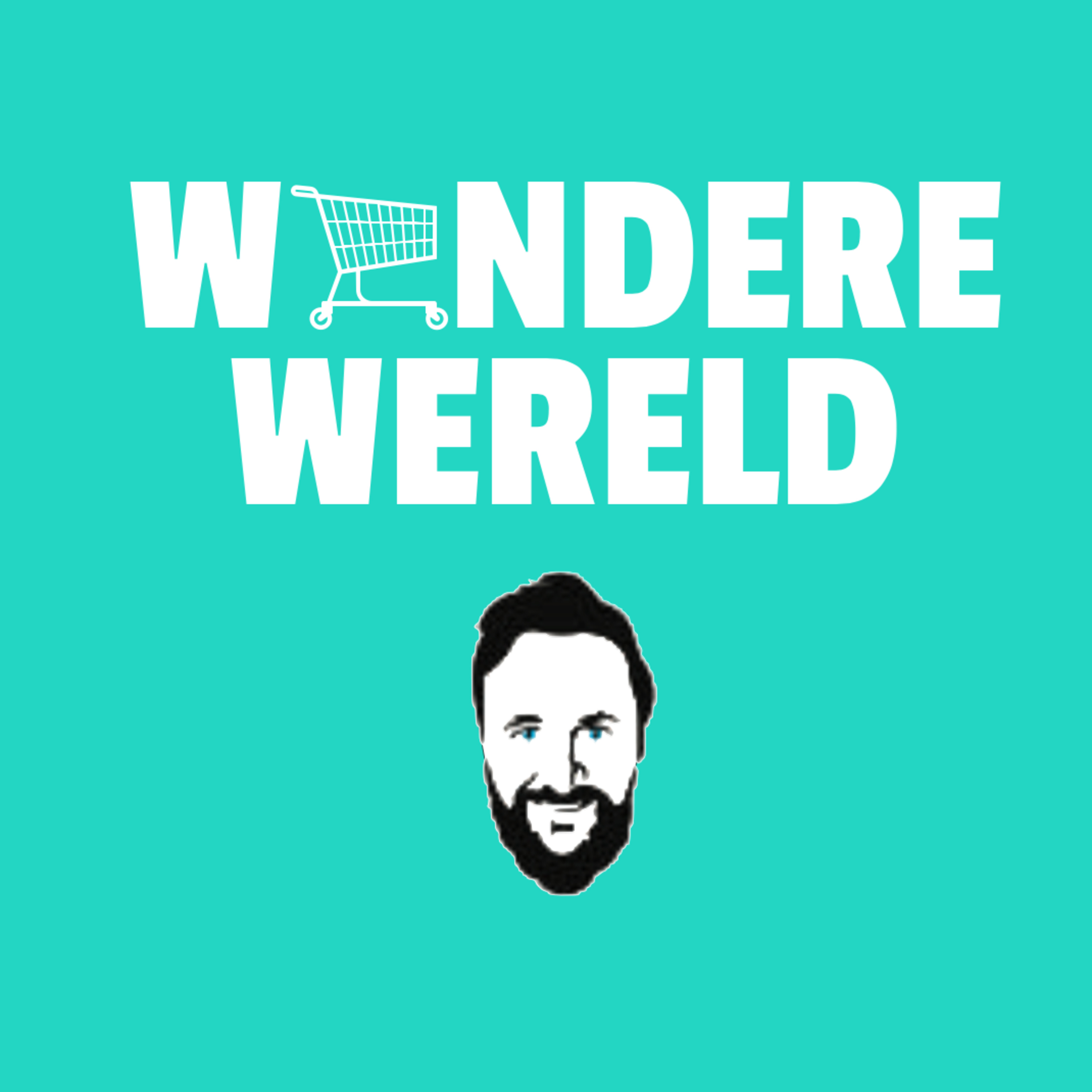 De Wondere Wereld van AI