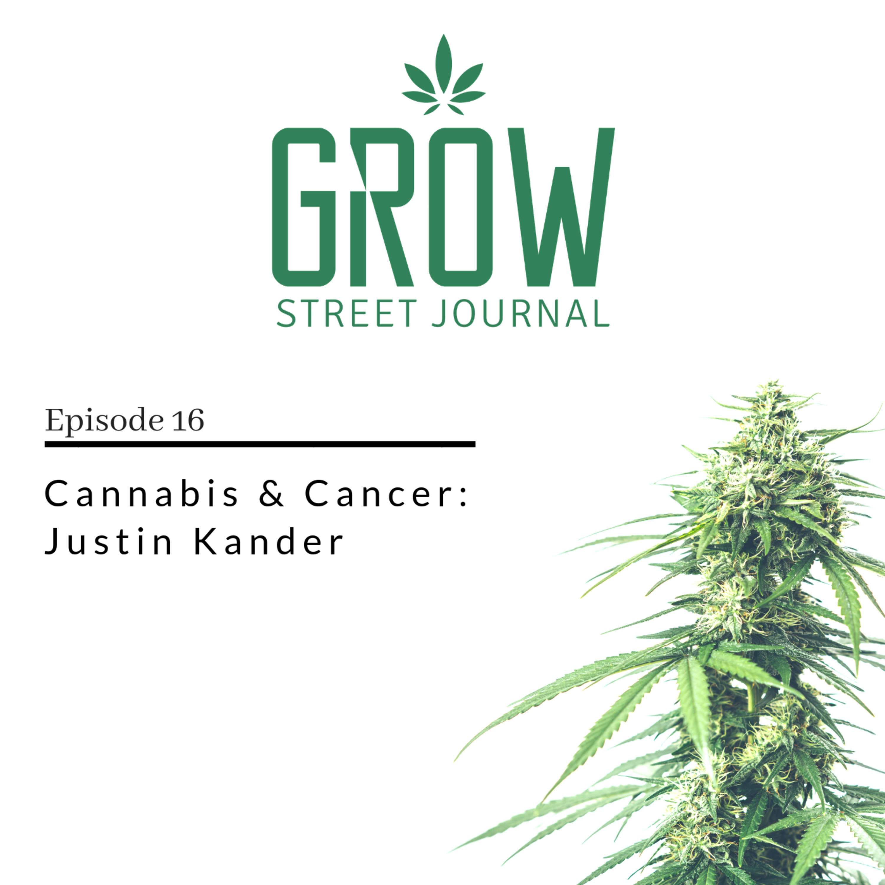 Cannabis & Cancer - Justin Kander