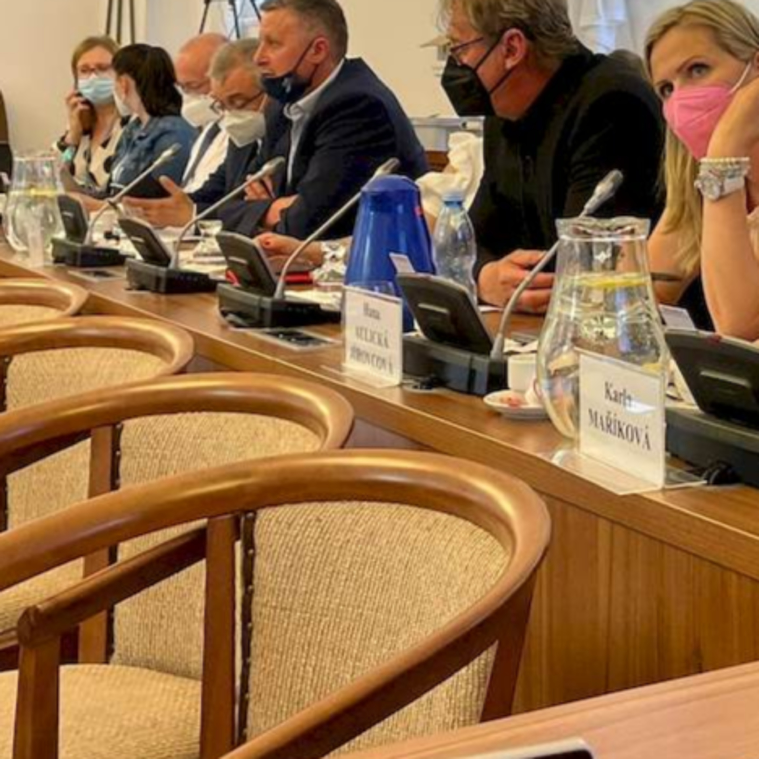 ZdraveZpravy.cz - Zprávy ze zdravotnictví
