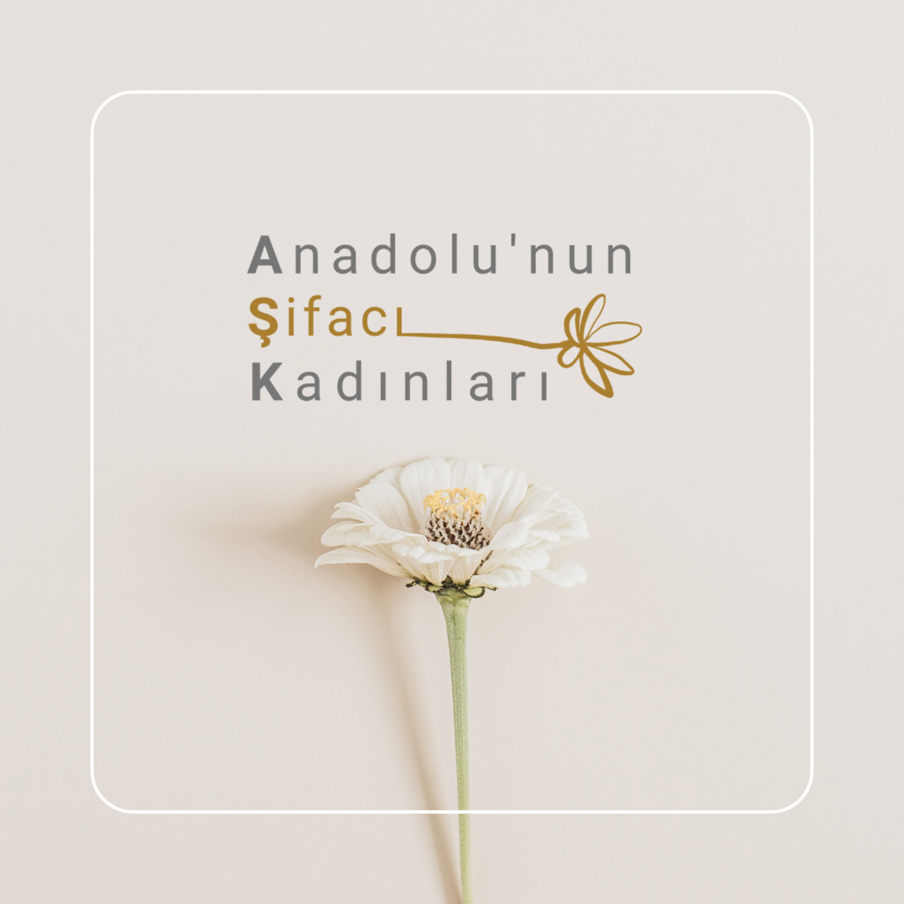 Anadolu\'nun Şifacı Kadınları