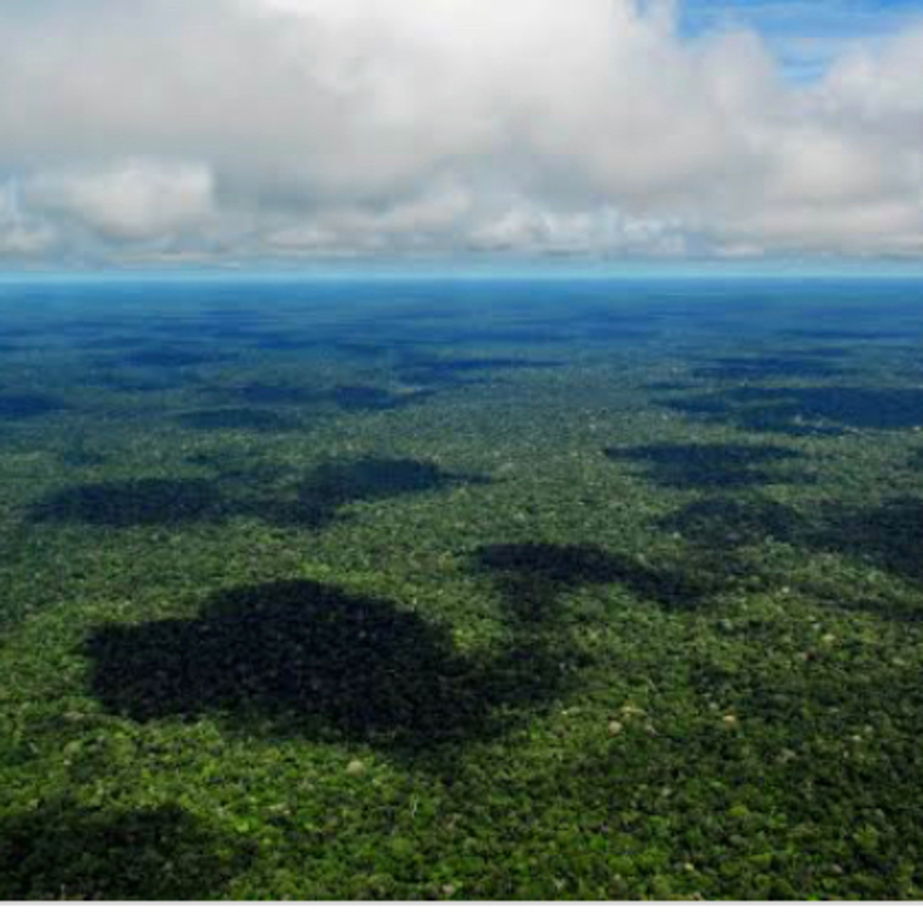 BIOMA AMAZÔNIA  episode artwork