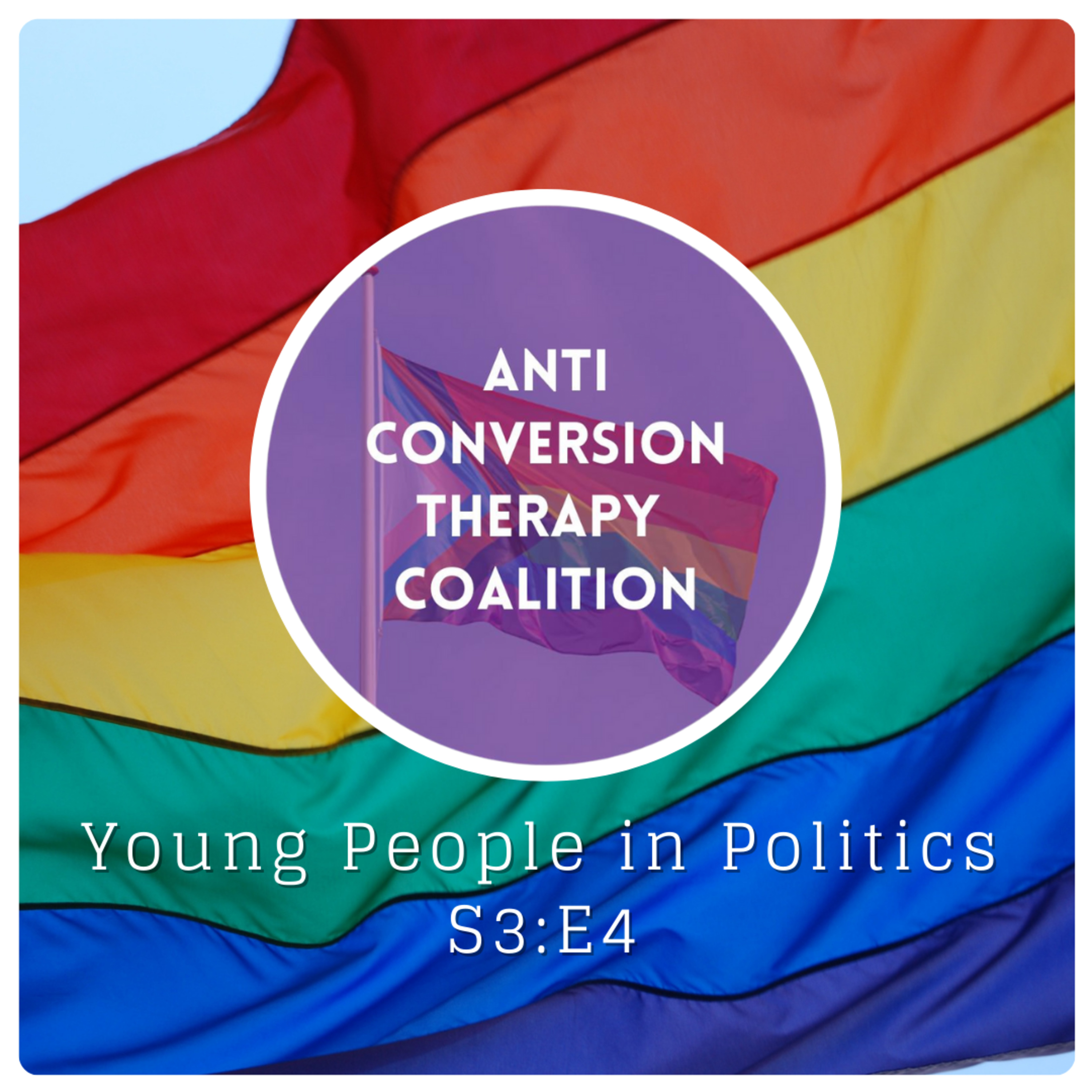 Young People in Politics