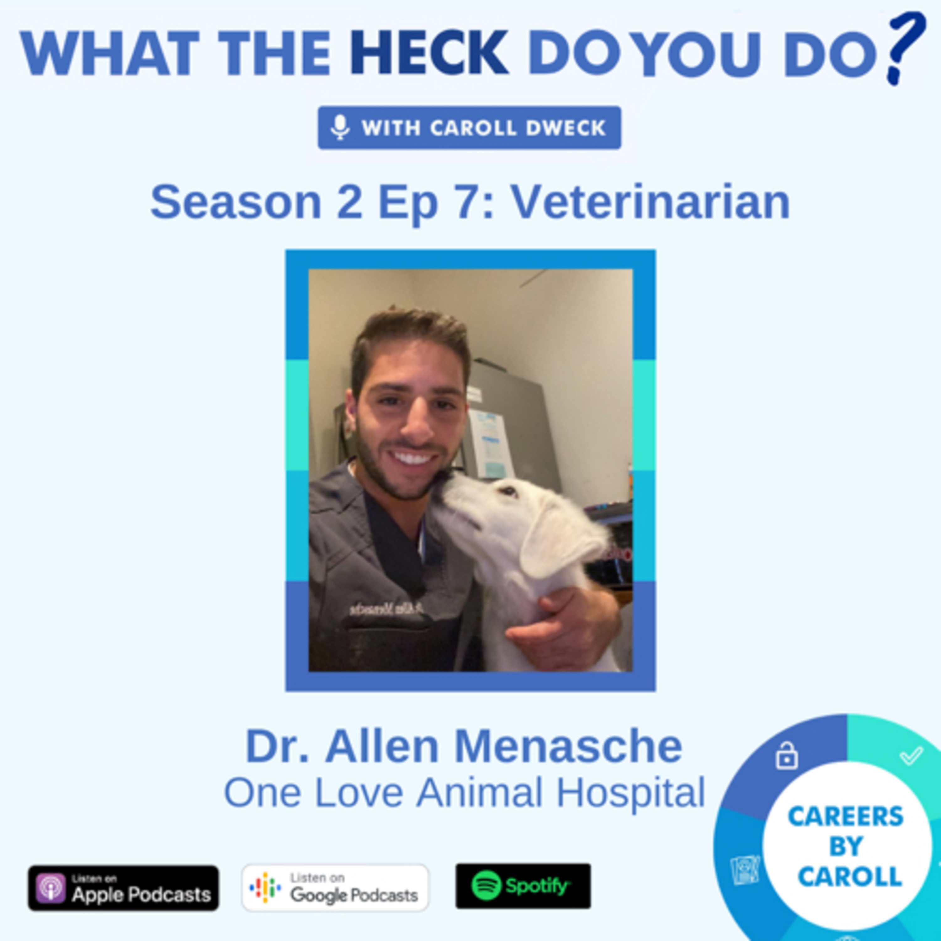WTH Does A Veterinarian Do? With Dr. Ally Menasche of One Love Animal Hospital episode artwork