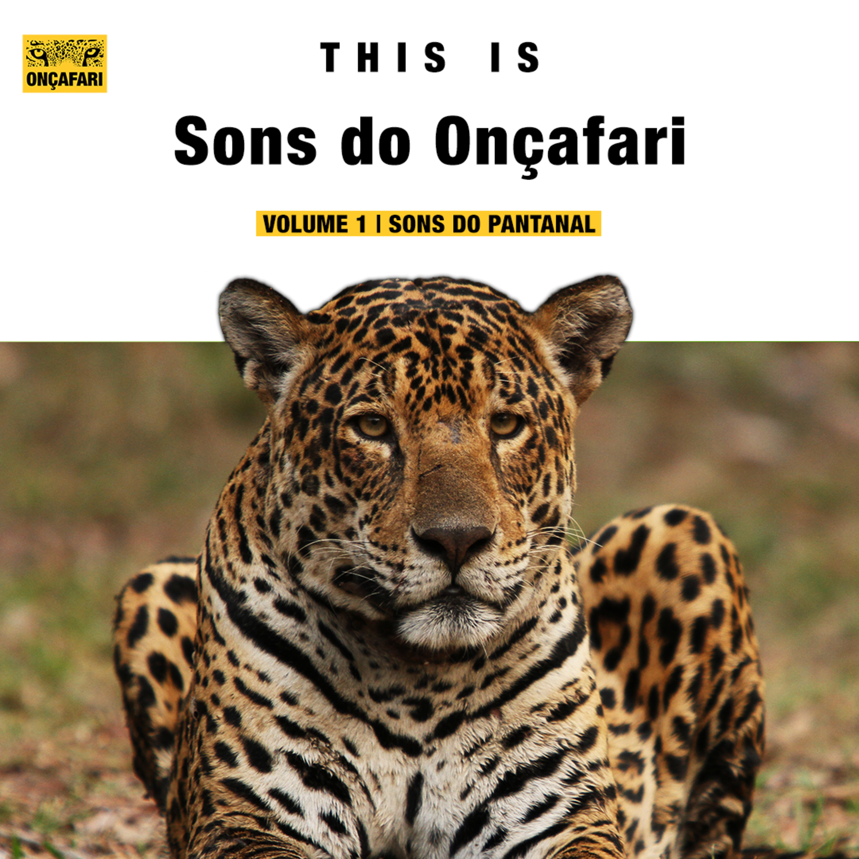 Sons do Onçafari | Volume 1 | Sons do Pantanal