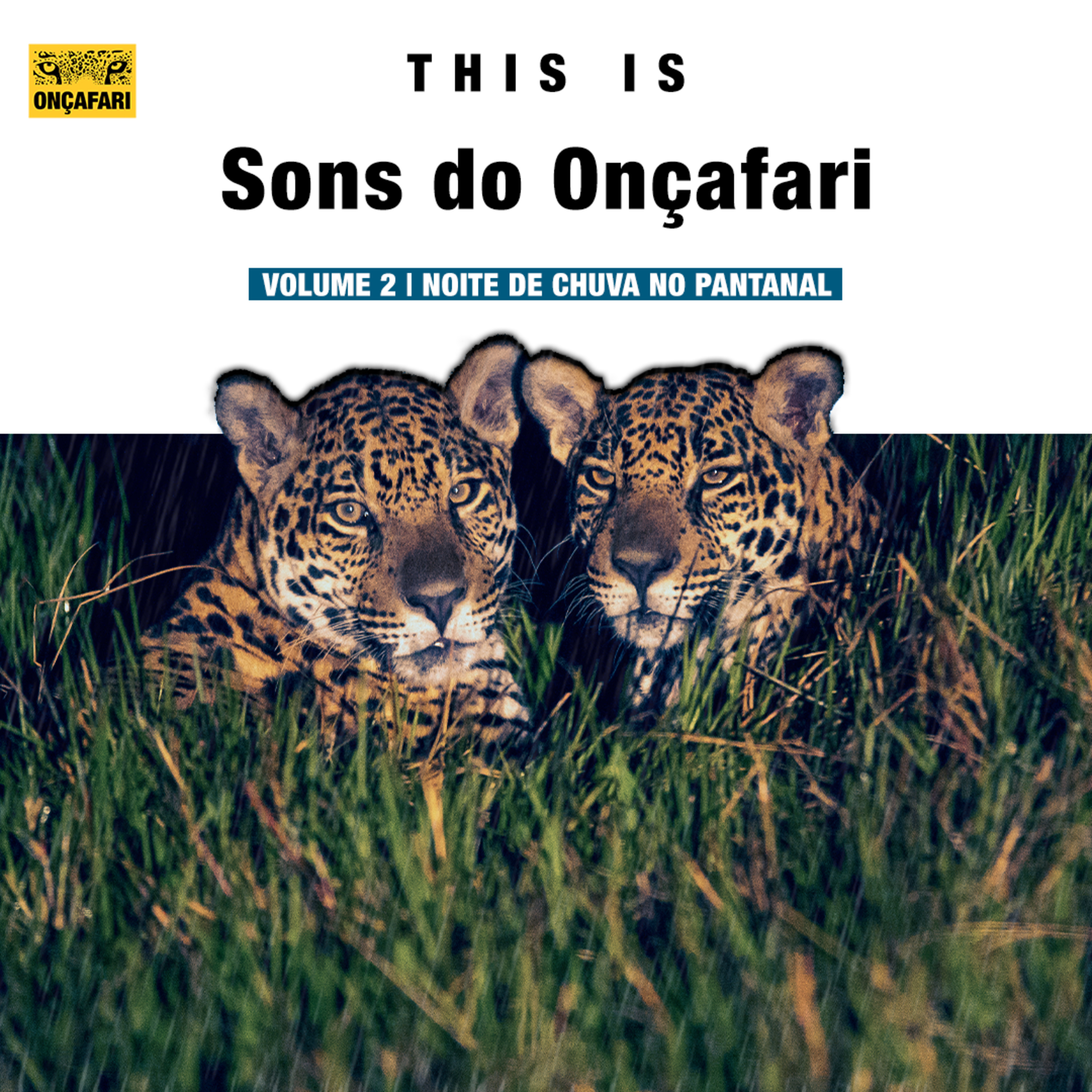 Sons do Onçafari | Volume 2 | Noite de Chuva no Pantanal