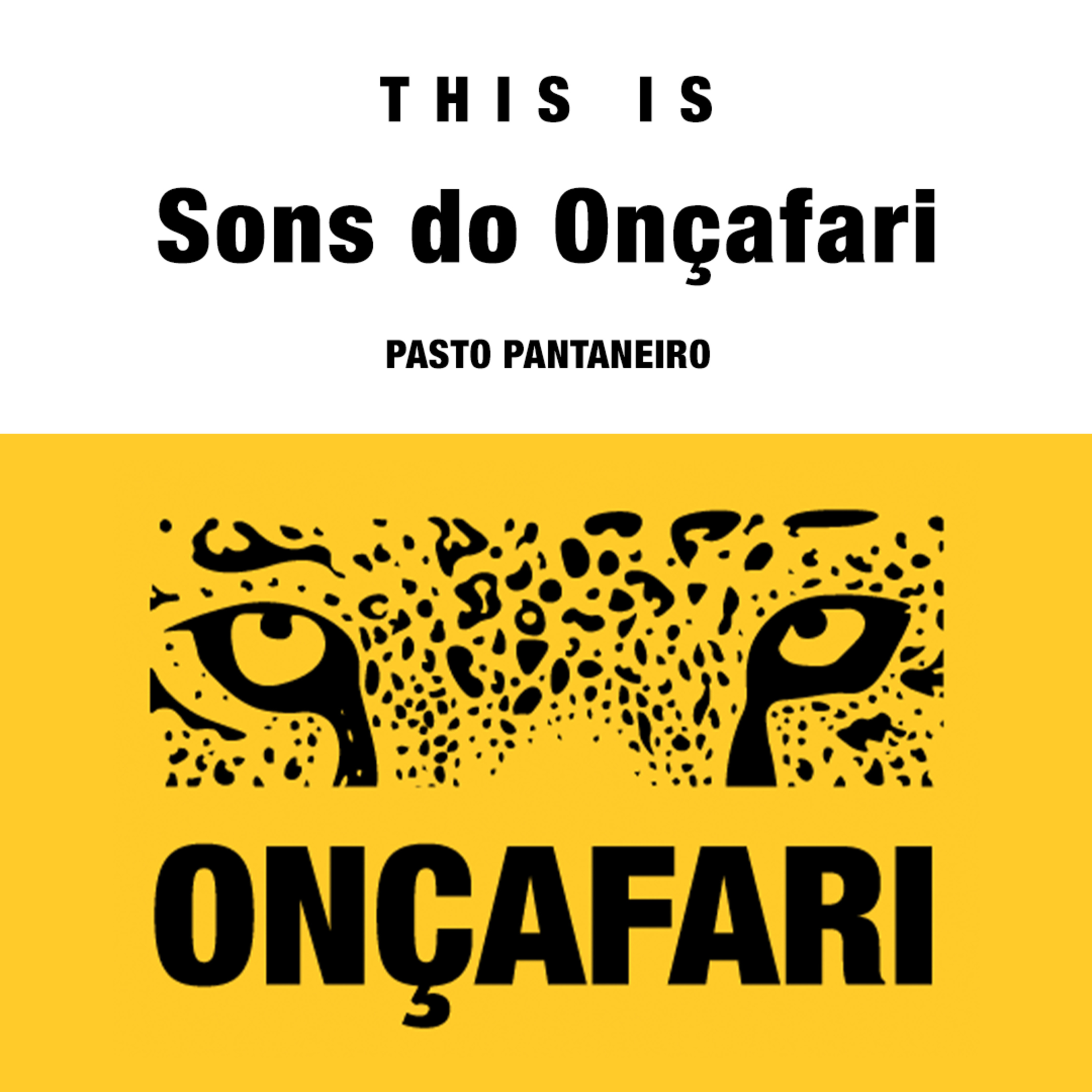 Pasto pantaneiro