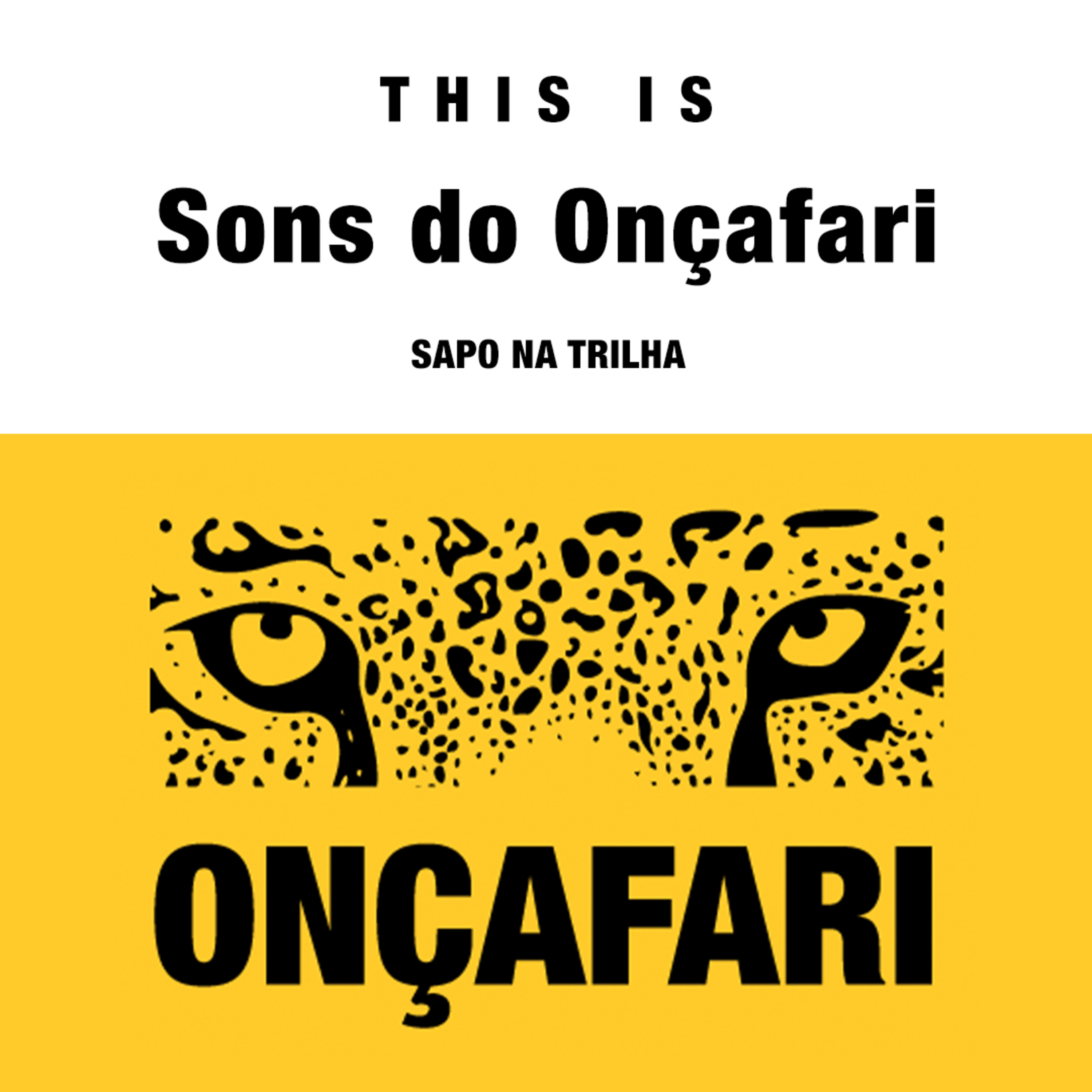 Sapo na trilha