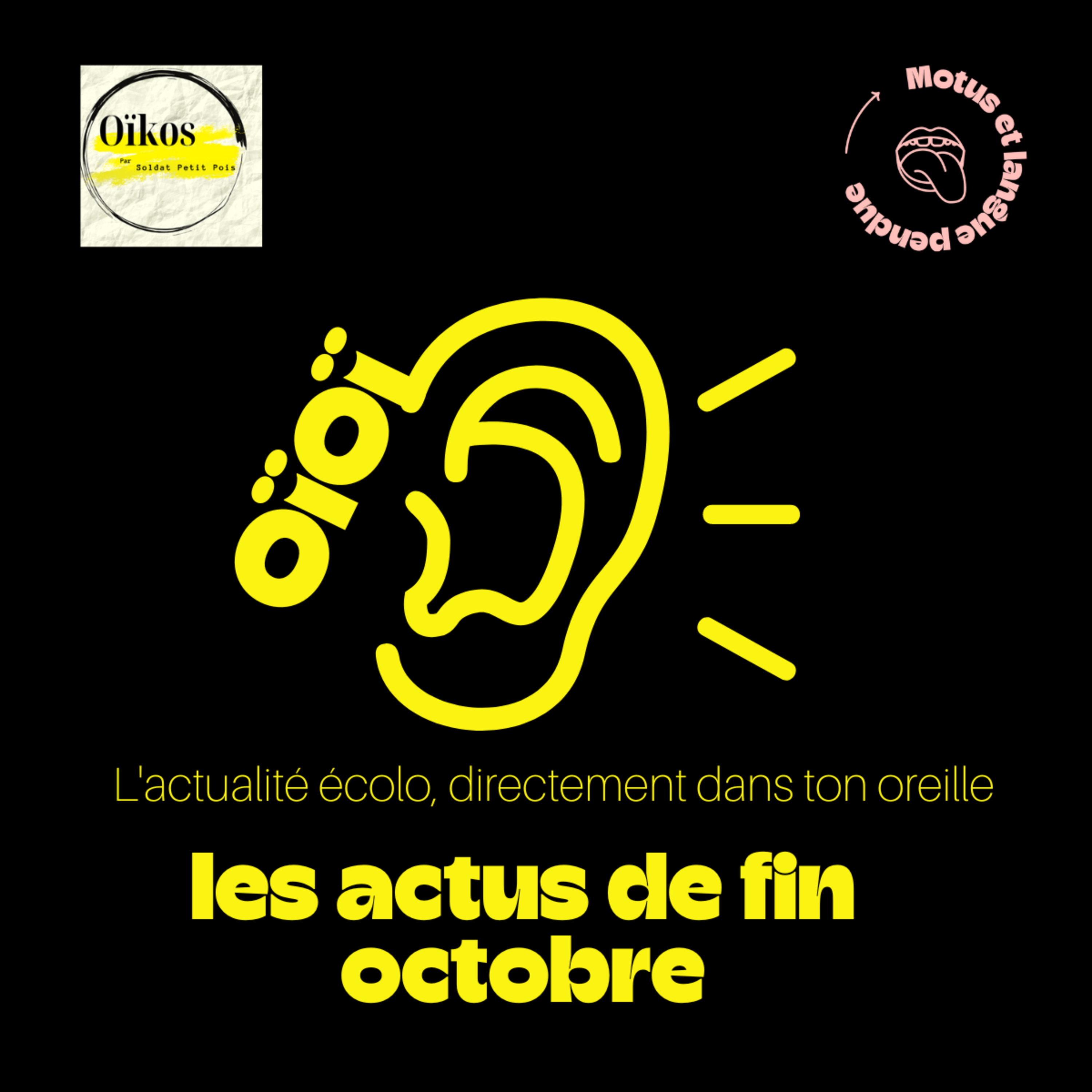 Oïkos