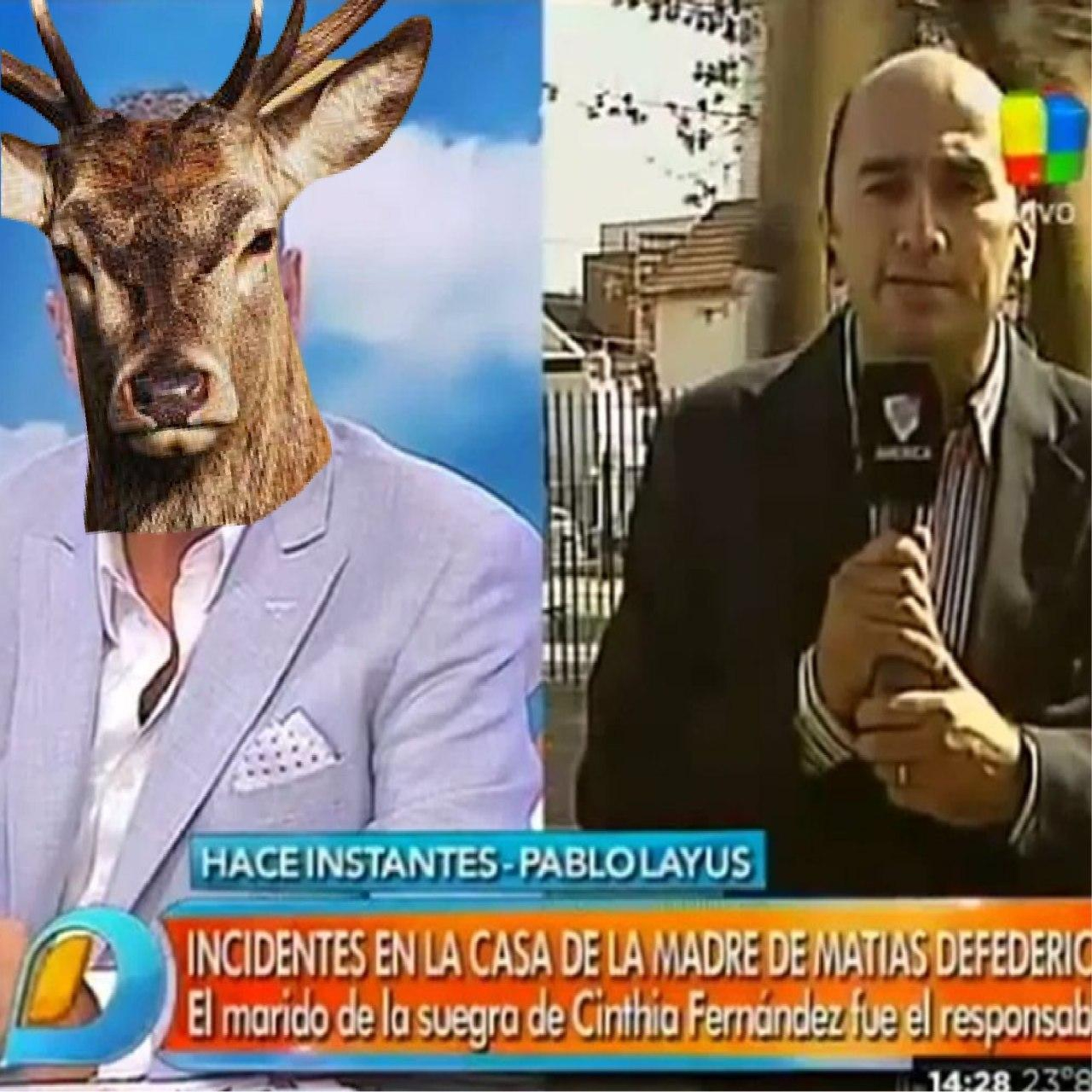 Pará un poco, loca