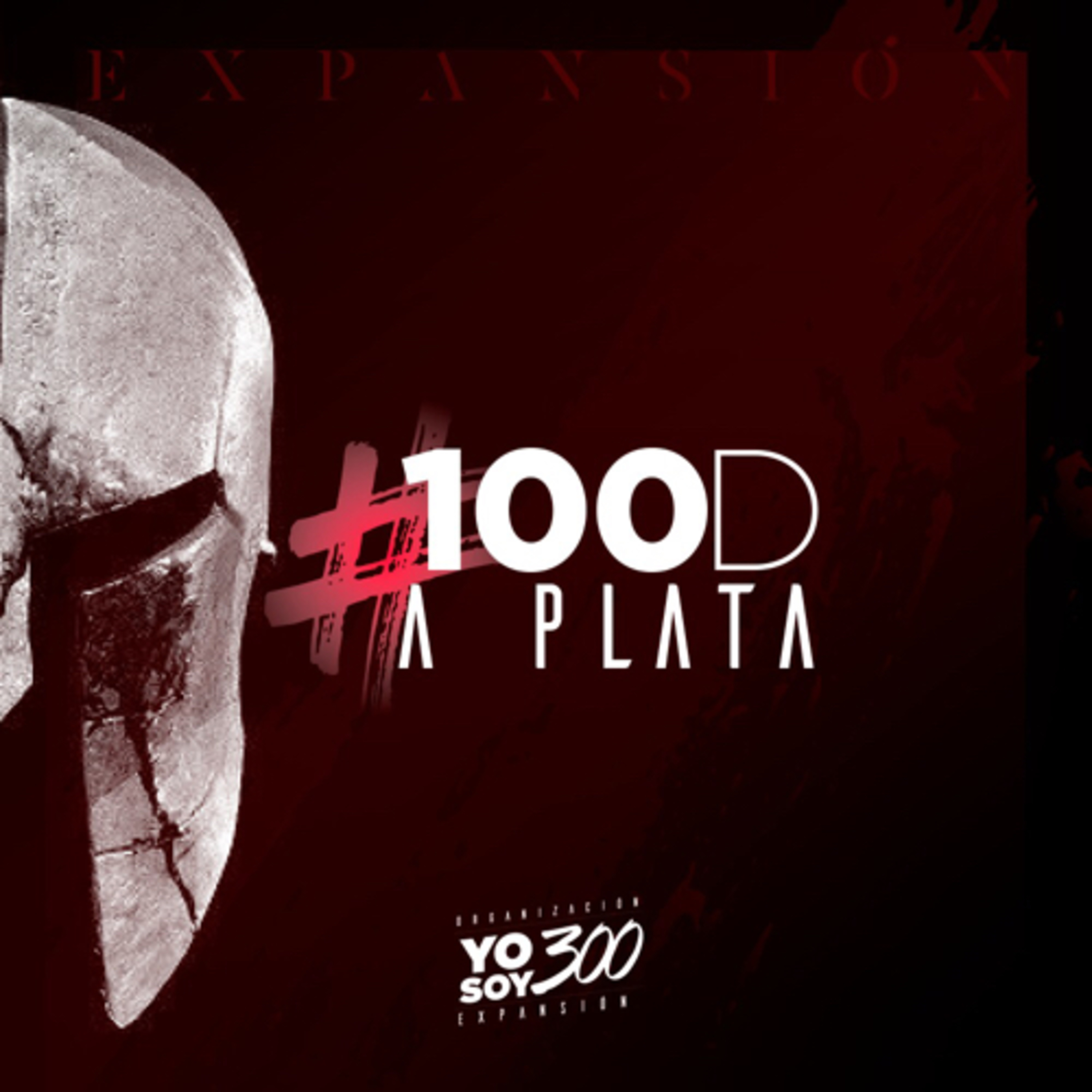 #100D A PLATA YS300EXPANSIÓN