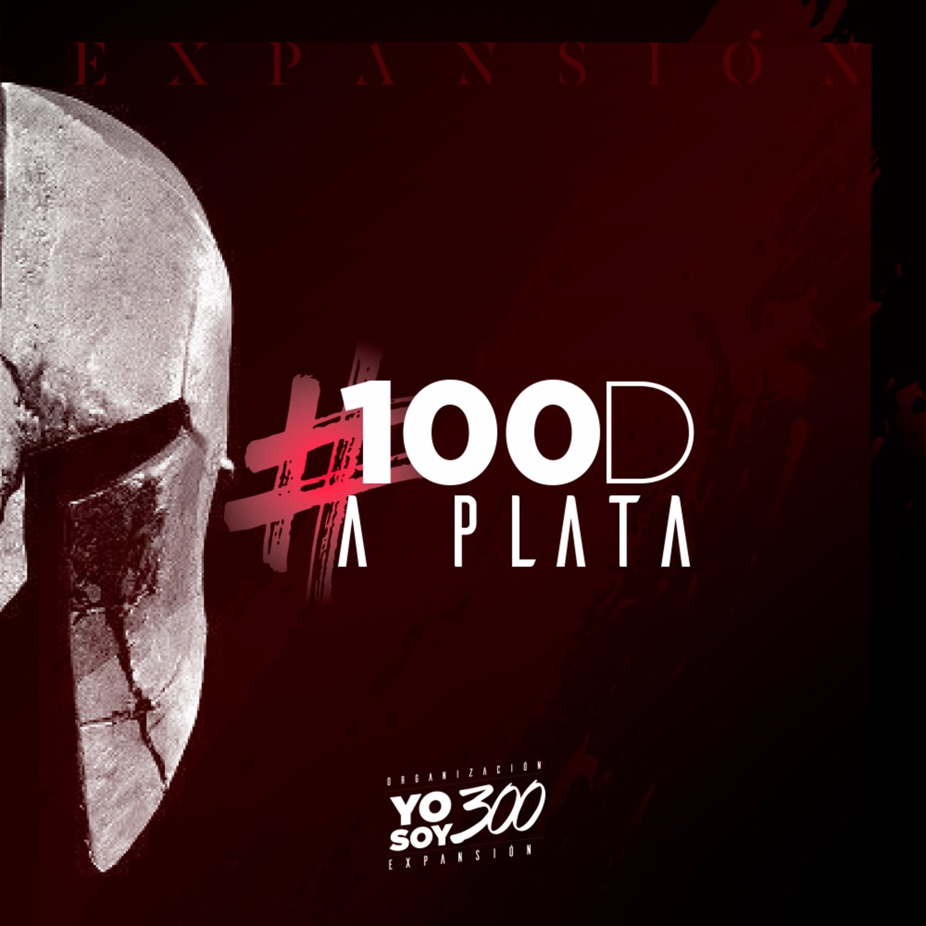 #100D A PLATA YS300EXPANSIÓN