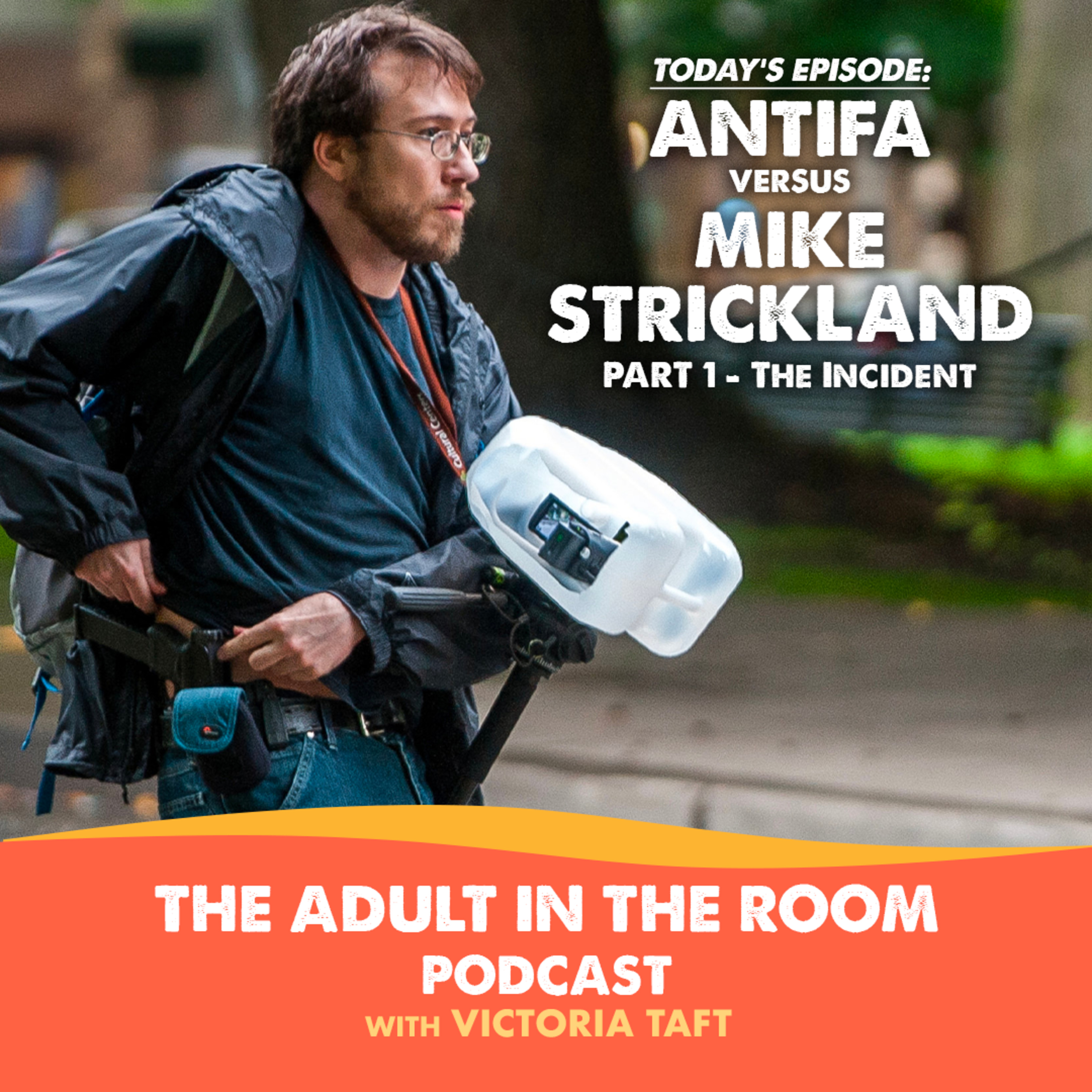 The Adult in the Room