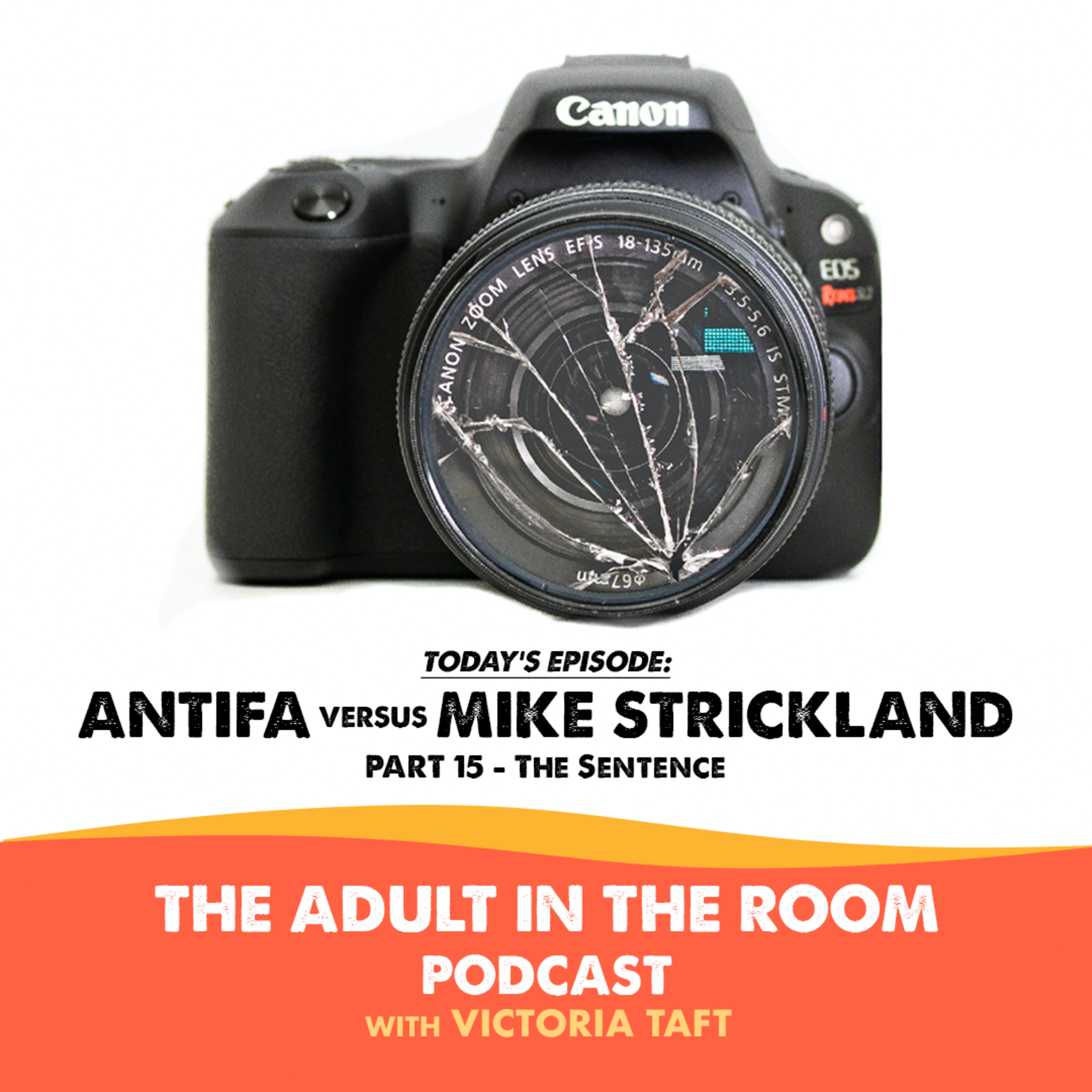 The Adult in the Room