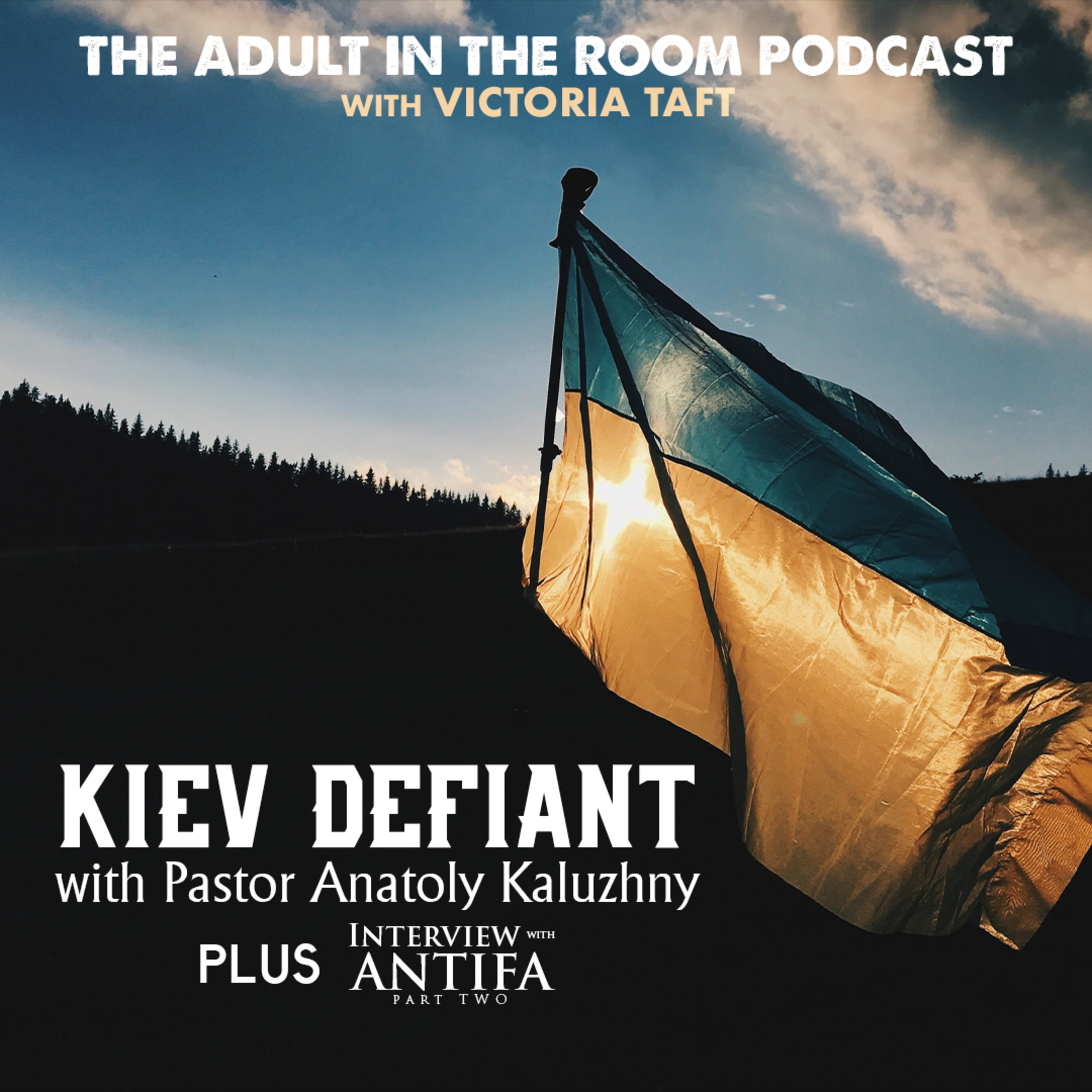 The Adult in the Room