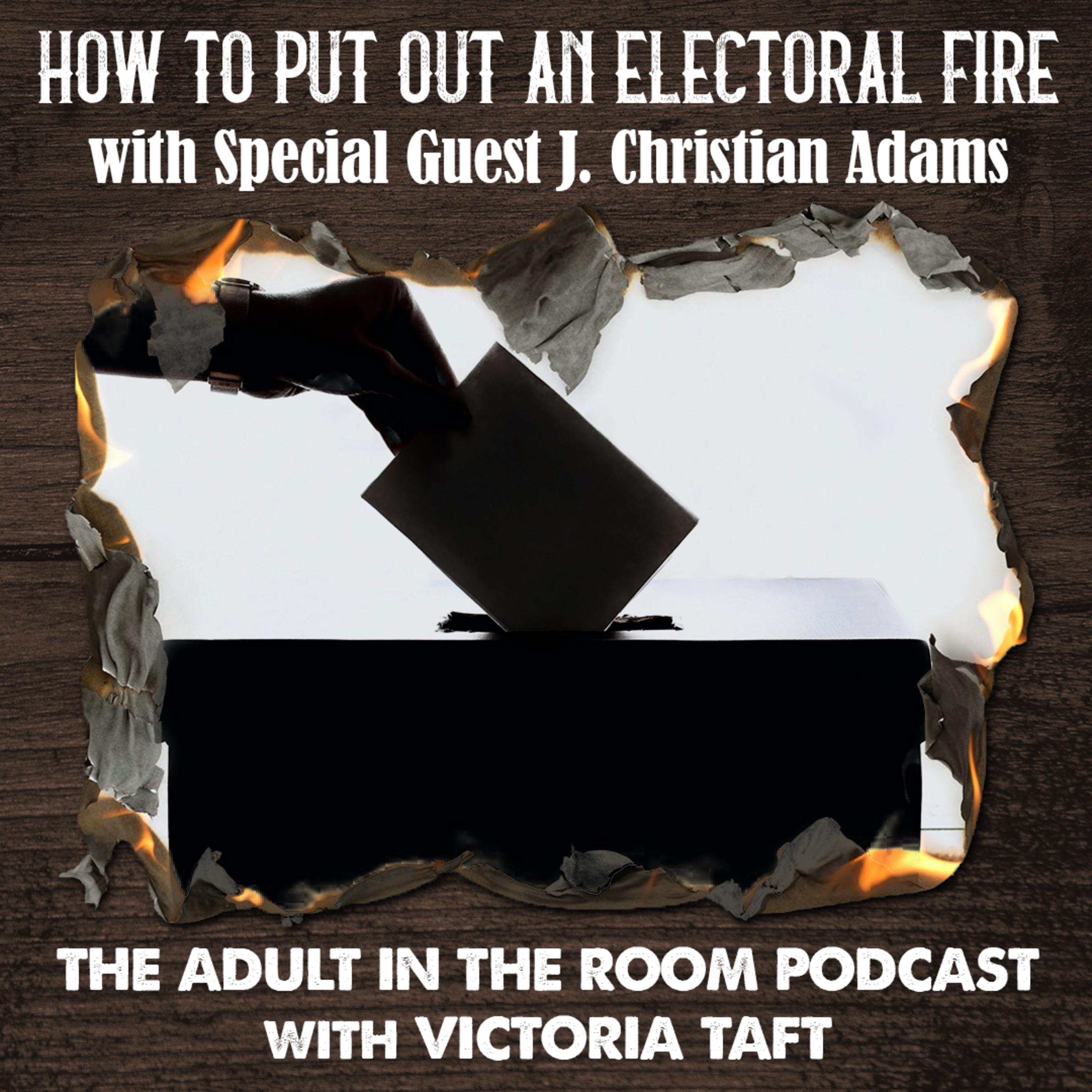 The Adult in the Room