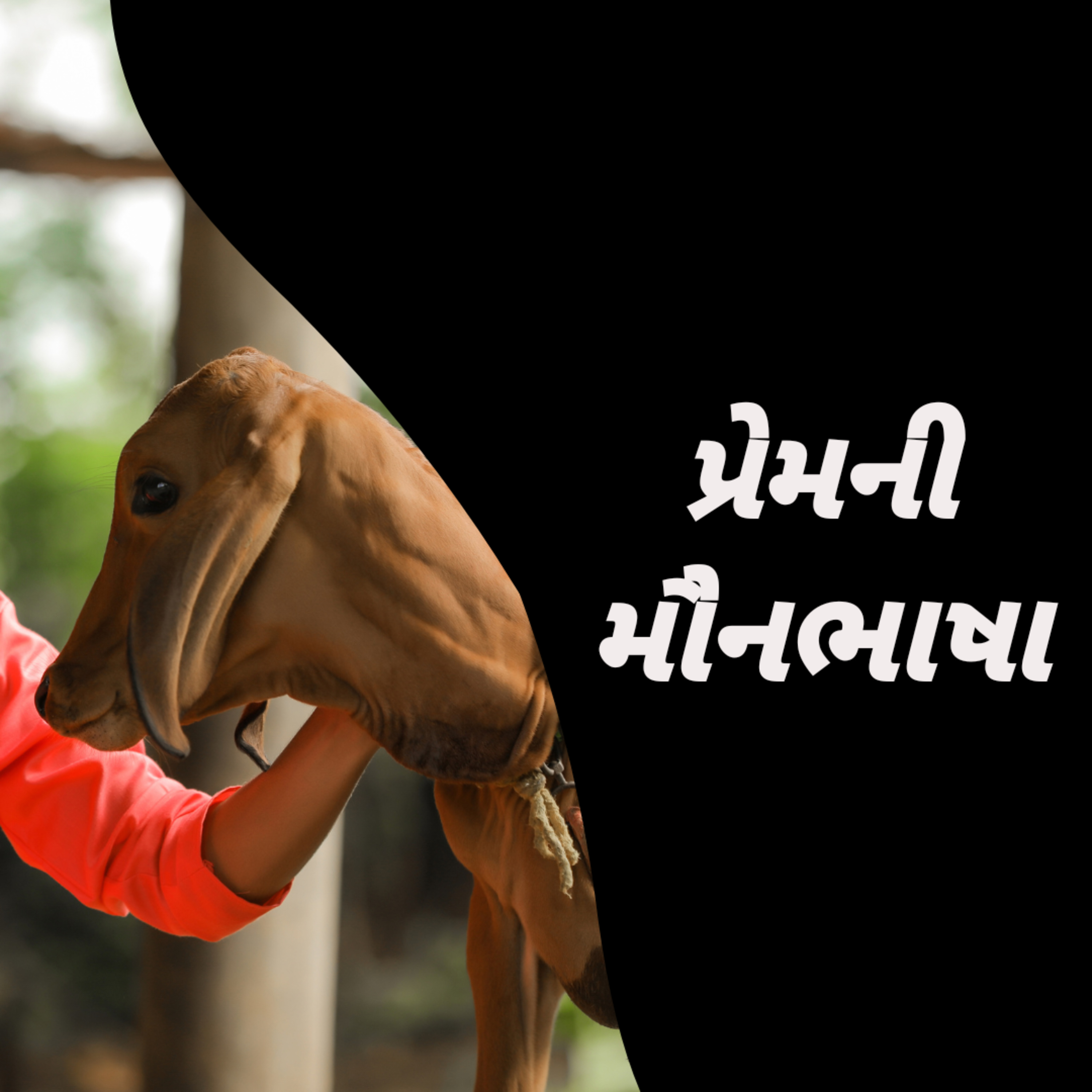 પ્રેમની મૌનભાષા - Prem ni Maun Bhasha episode artwork