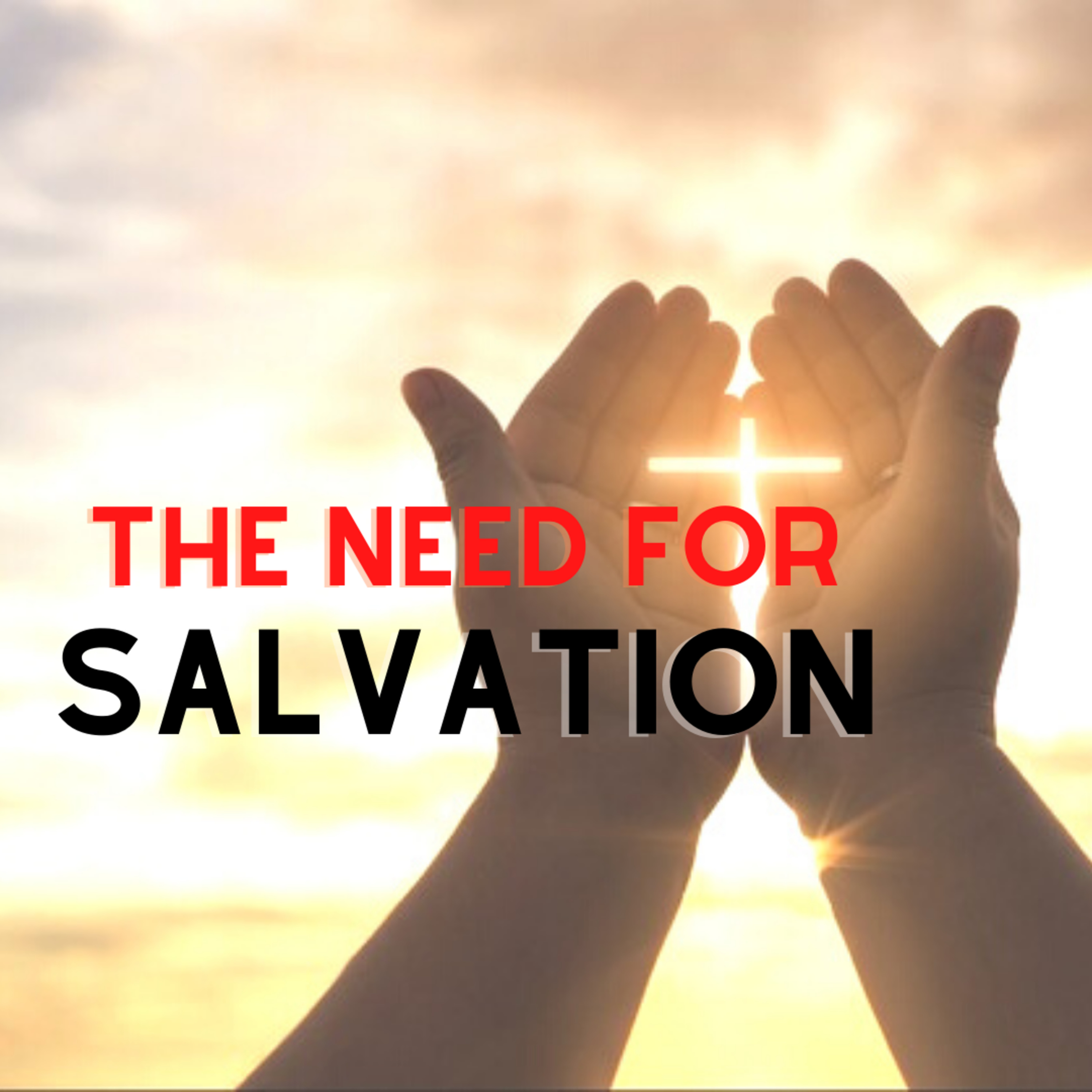 The Need for Salvation  episode artwork