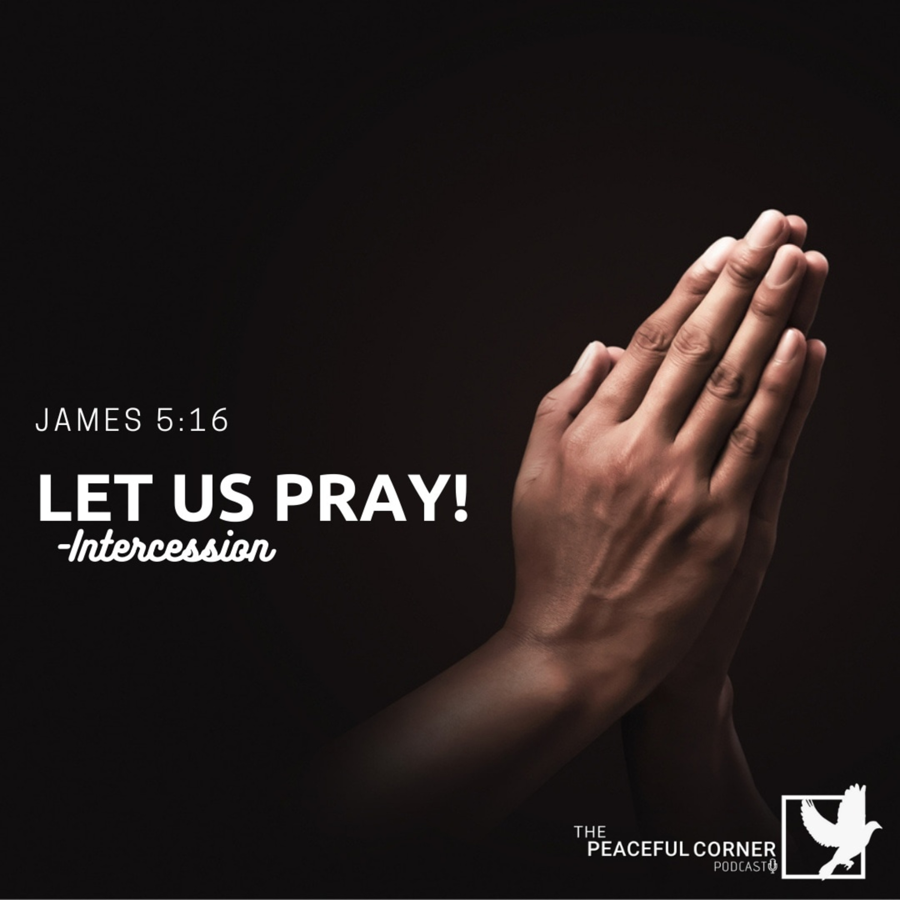 Let Us Pray - Delivered  episode artwork