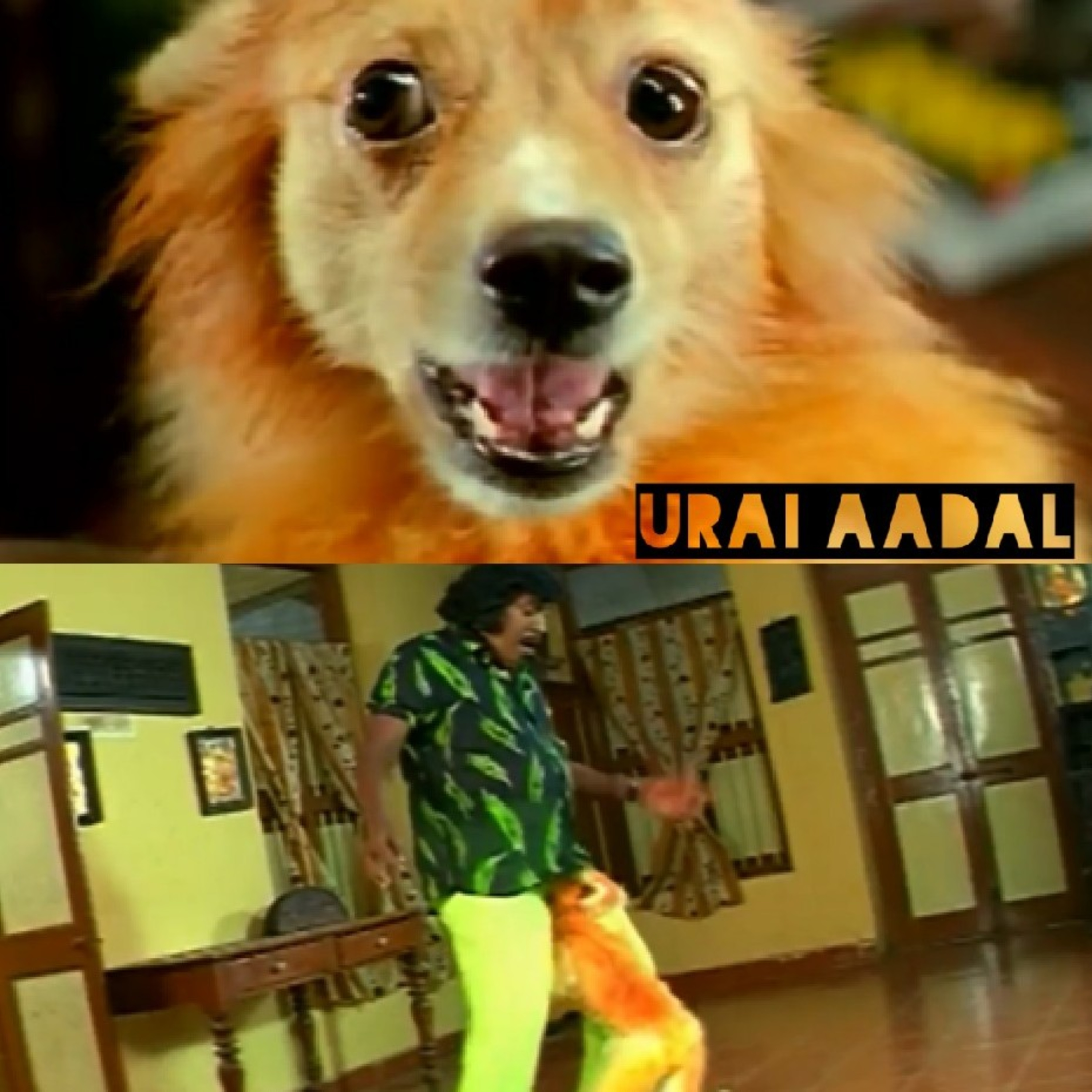 Urai_Aadal