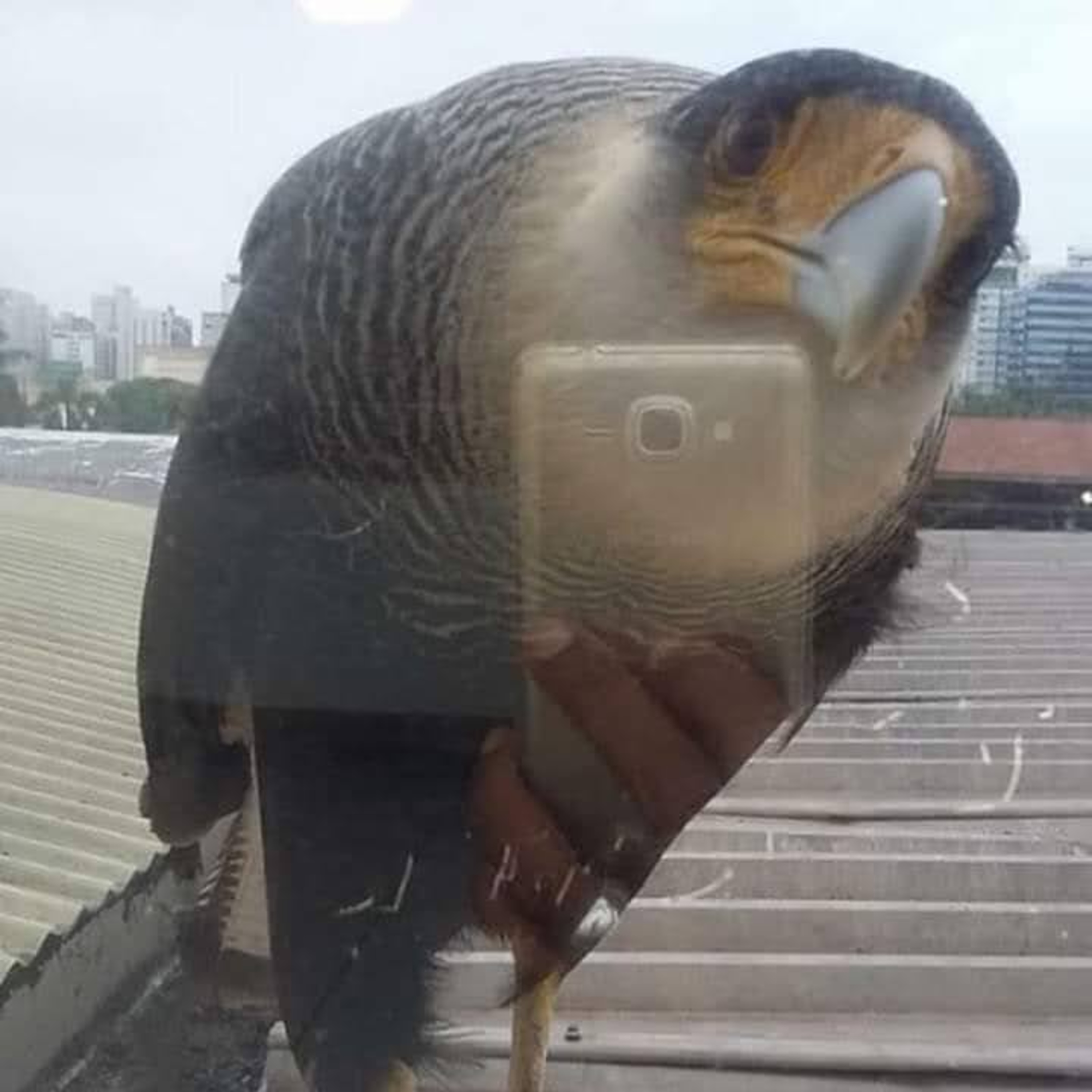 Urai_Aadal