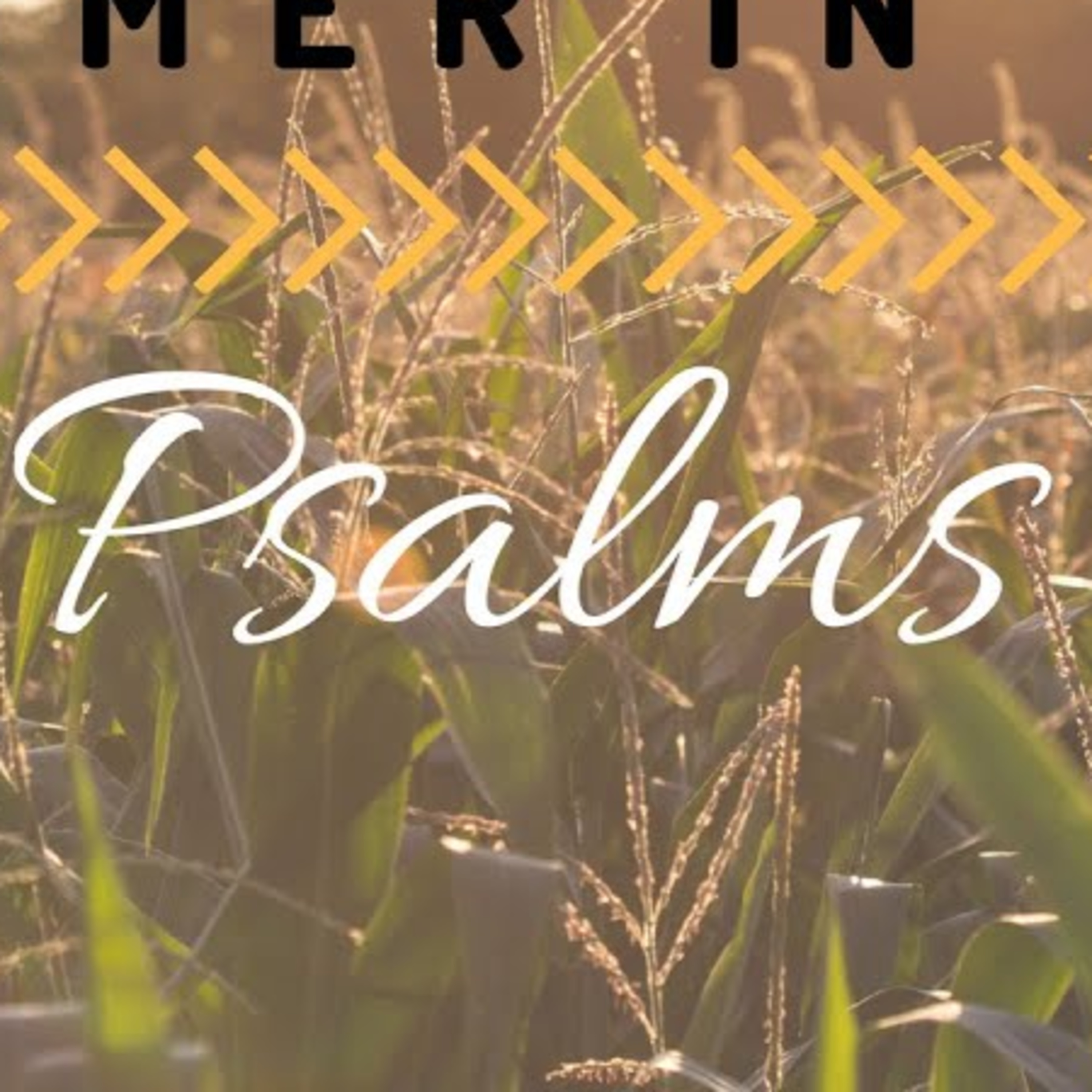 ARCHE Sermons