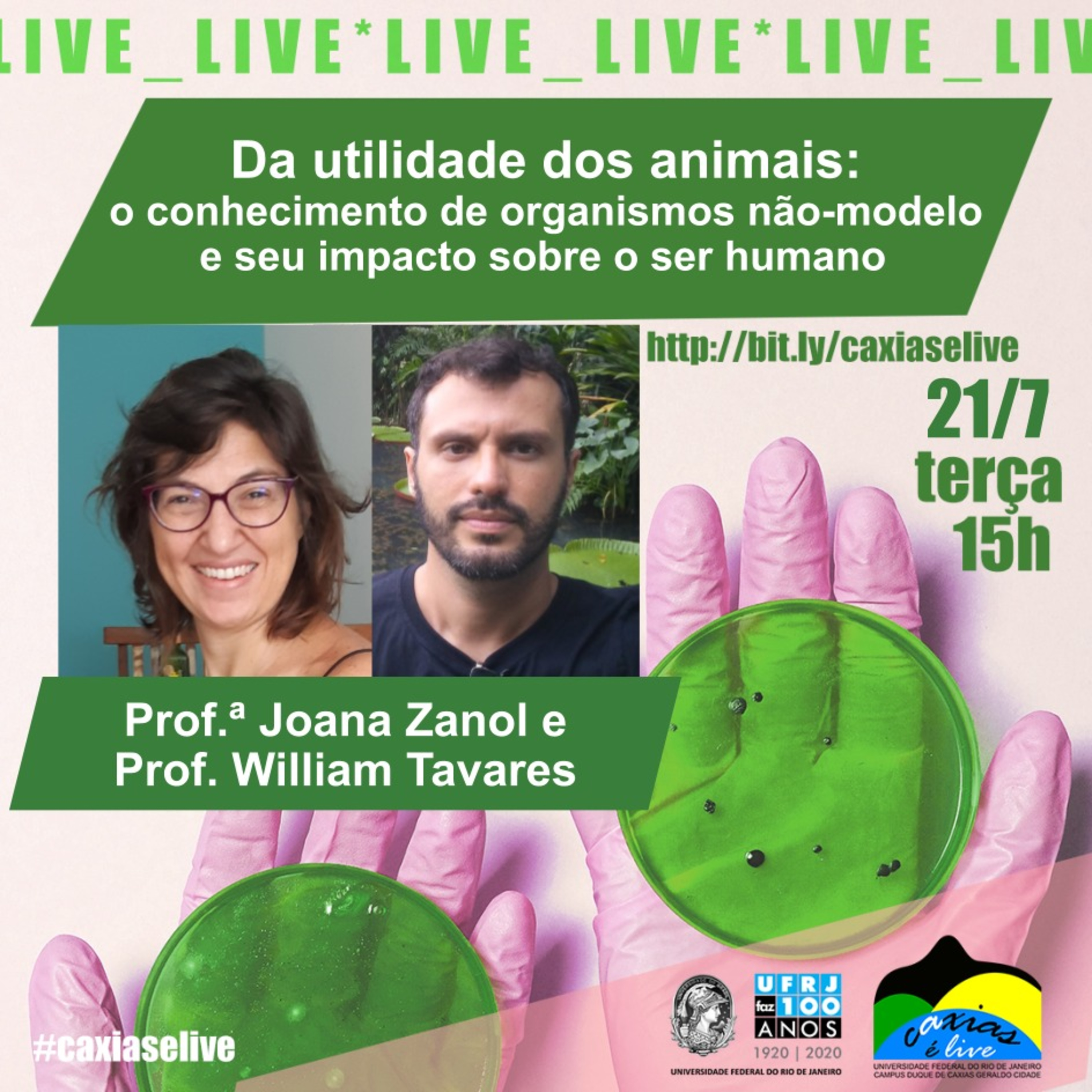 Caxias é Live: Podcast
