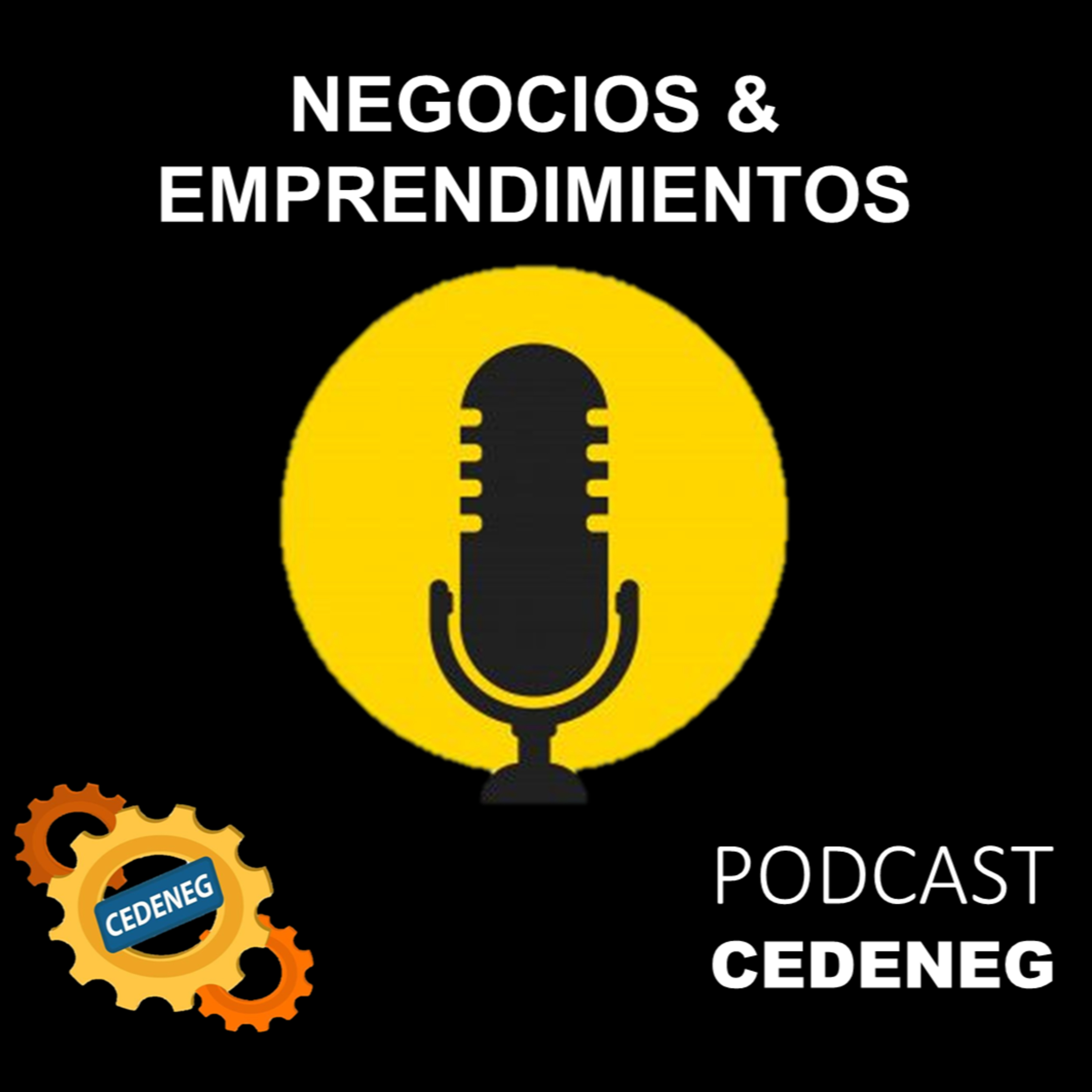 NEGOCIOS & EMPRENDIMIENTOS