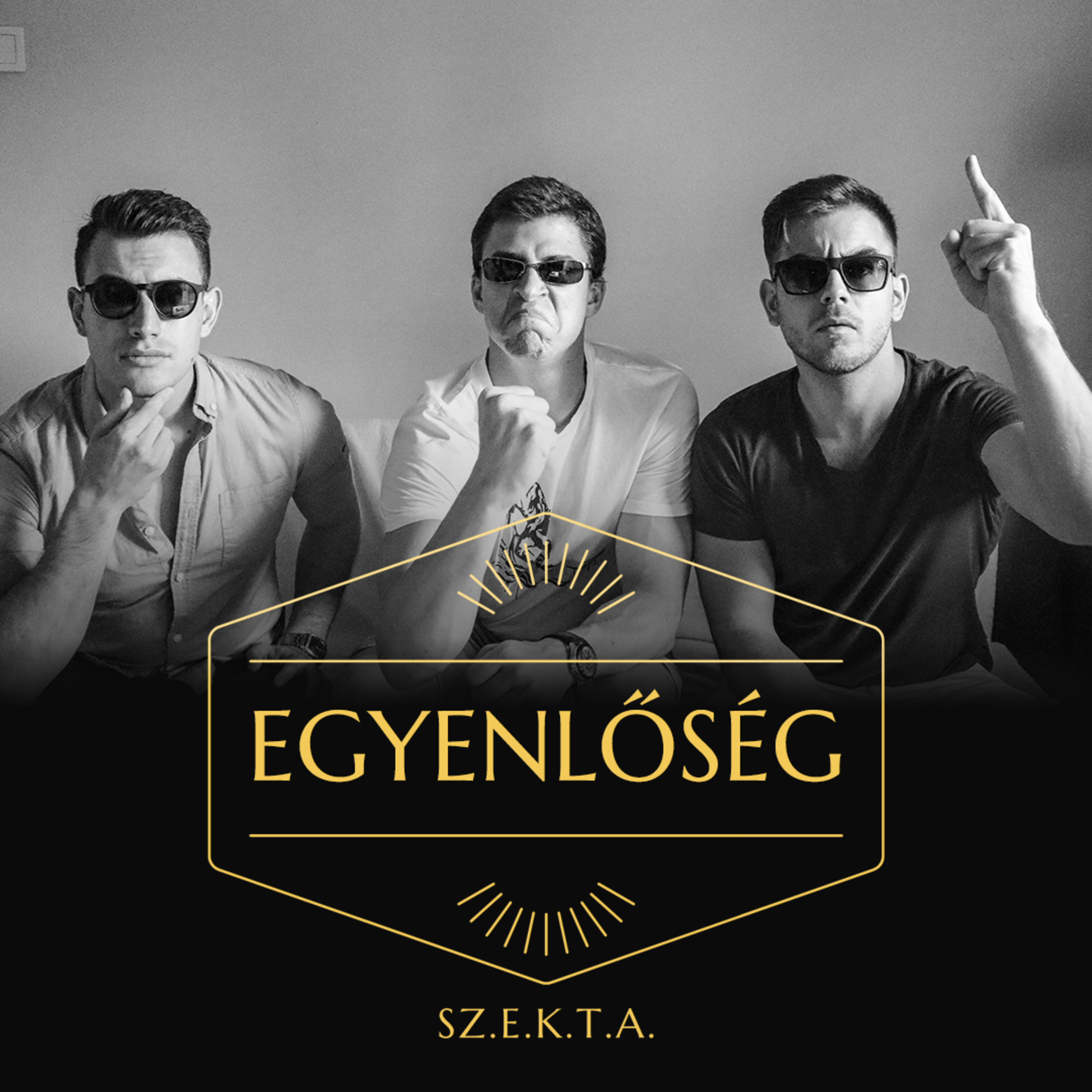 SZ.E.K.T.A., hogy egyenlőségről beszélhessünk episode artwork