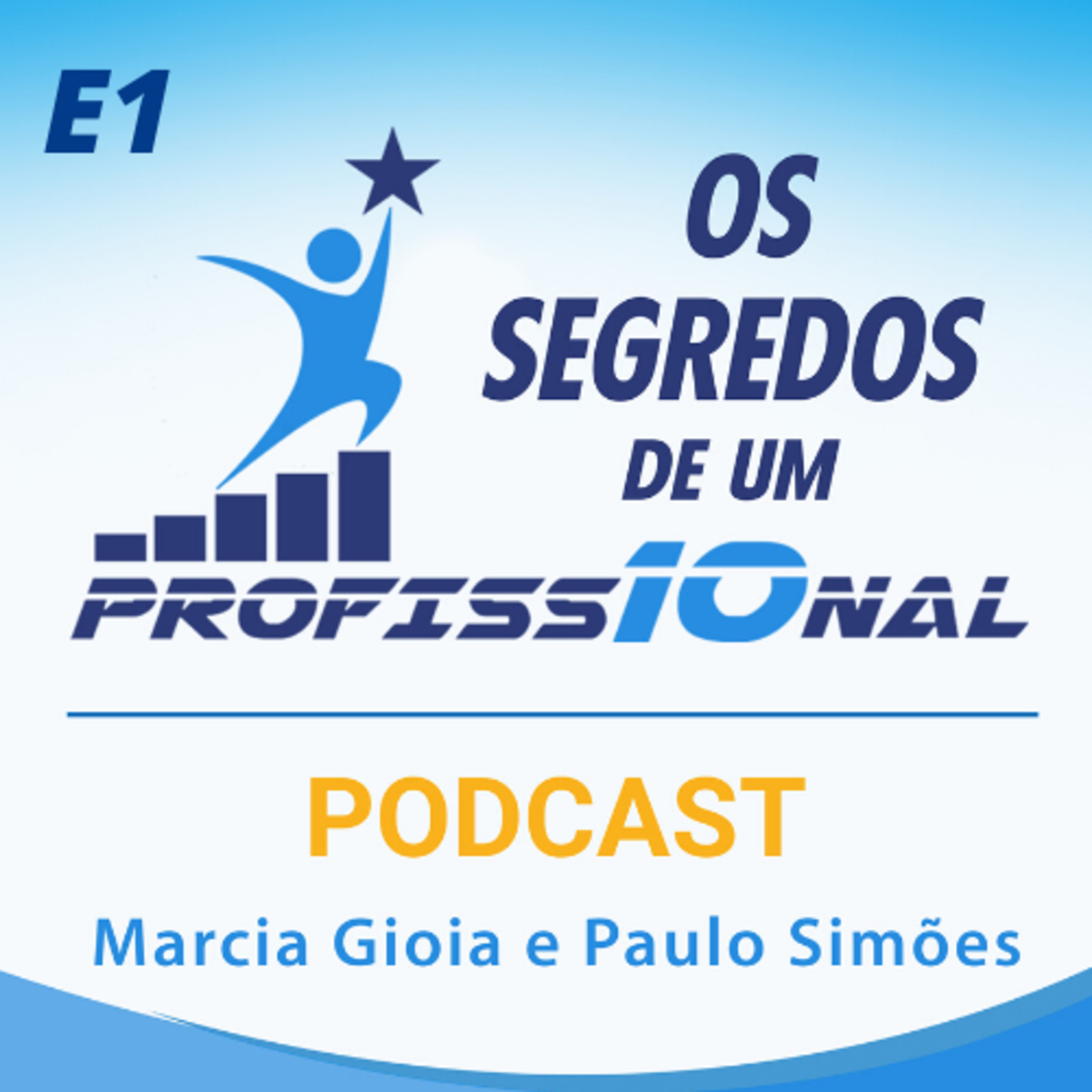 Os Segredos de um Profissional 10