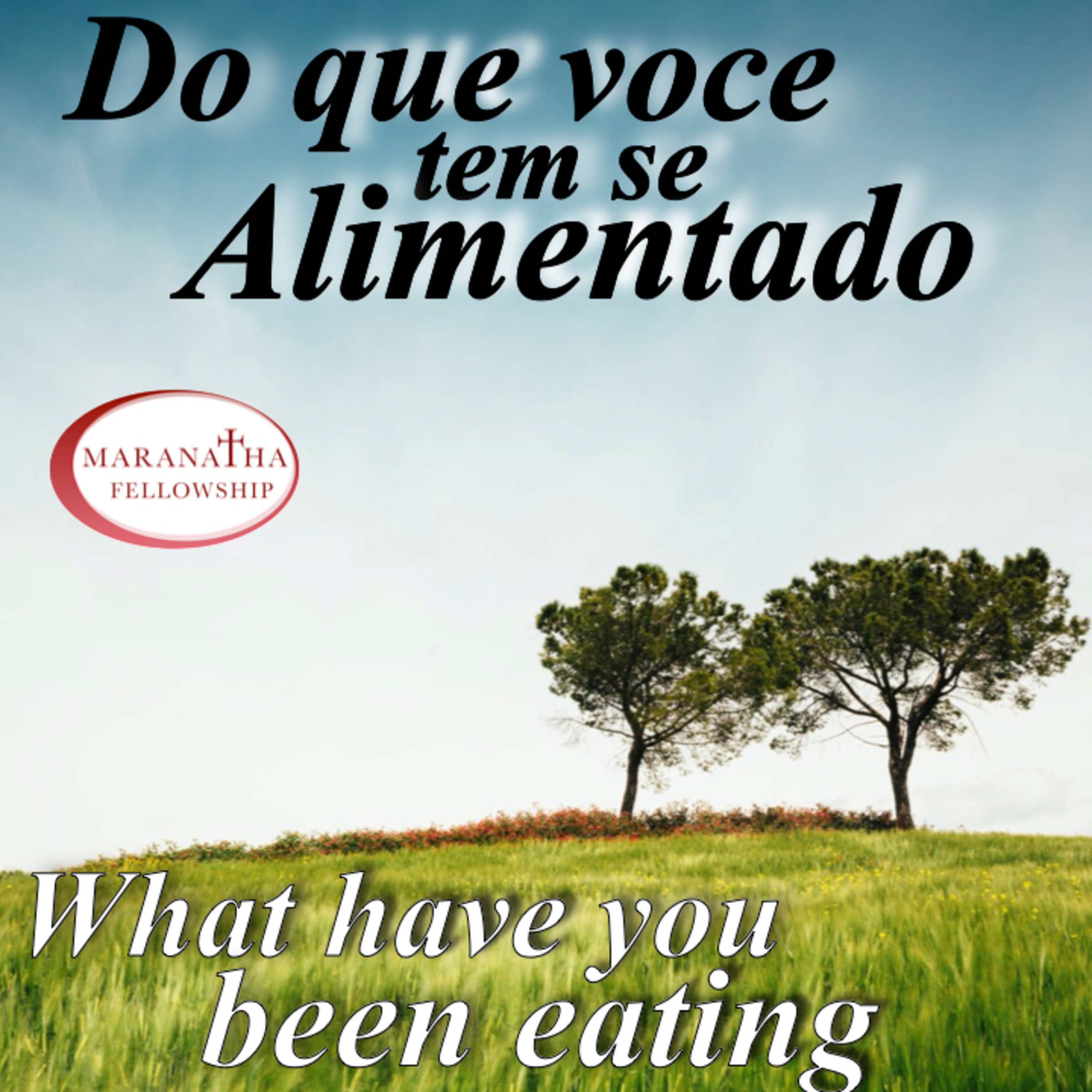 MFJ - Do que você tem se alimentado ( What have you been eating ) episode artwork