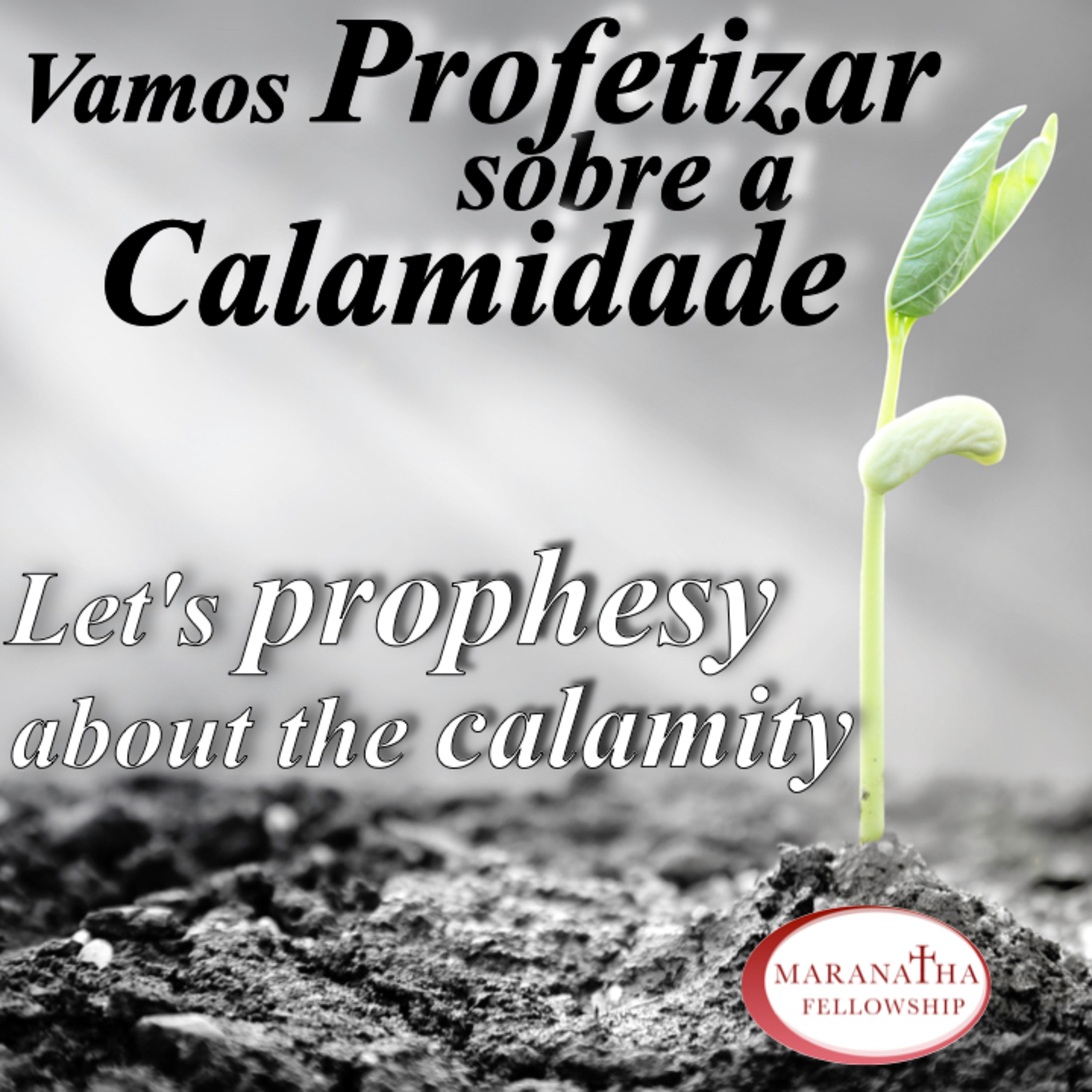 MFJ - Vamos profetizar sobre a calamidade (Let's prophesy about the calamity) episode artwork