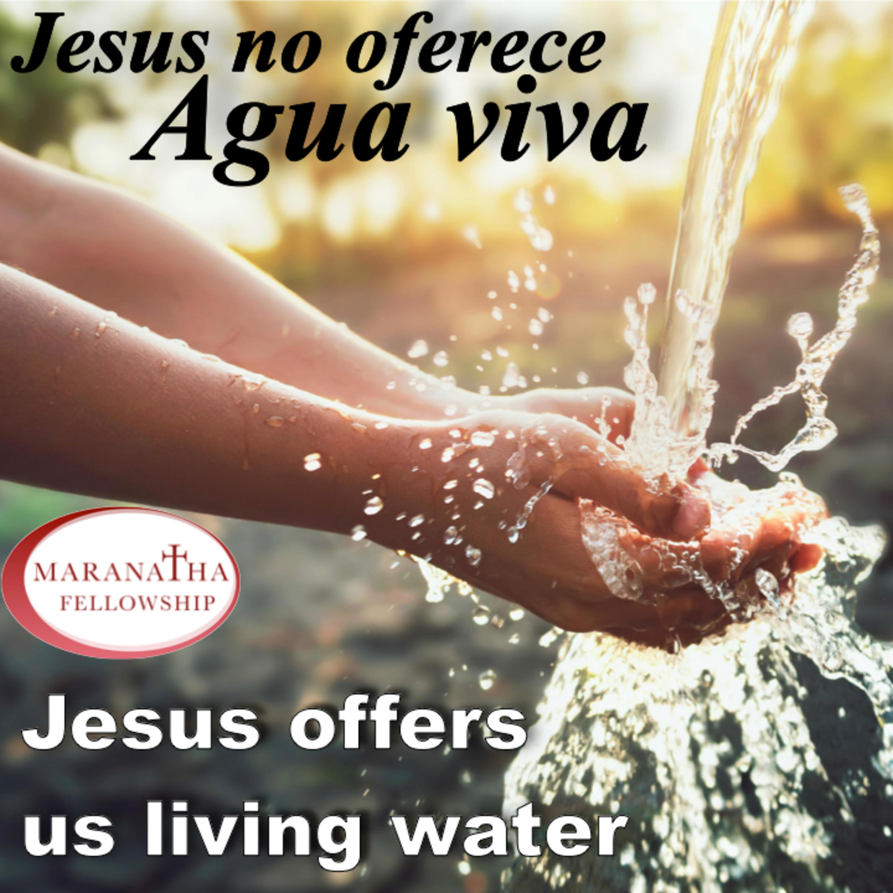 MFJ - Jesus nos oferece agua viva (Jesus offers us living water) episode artwork
