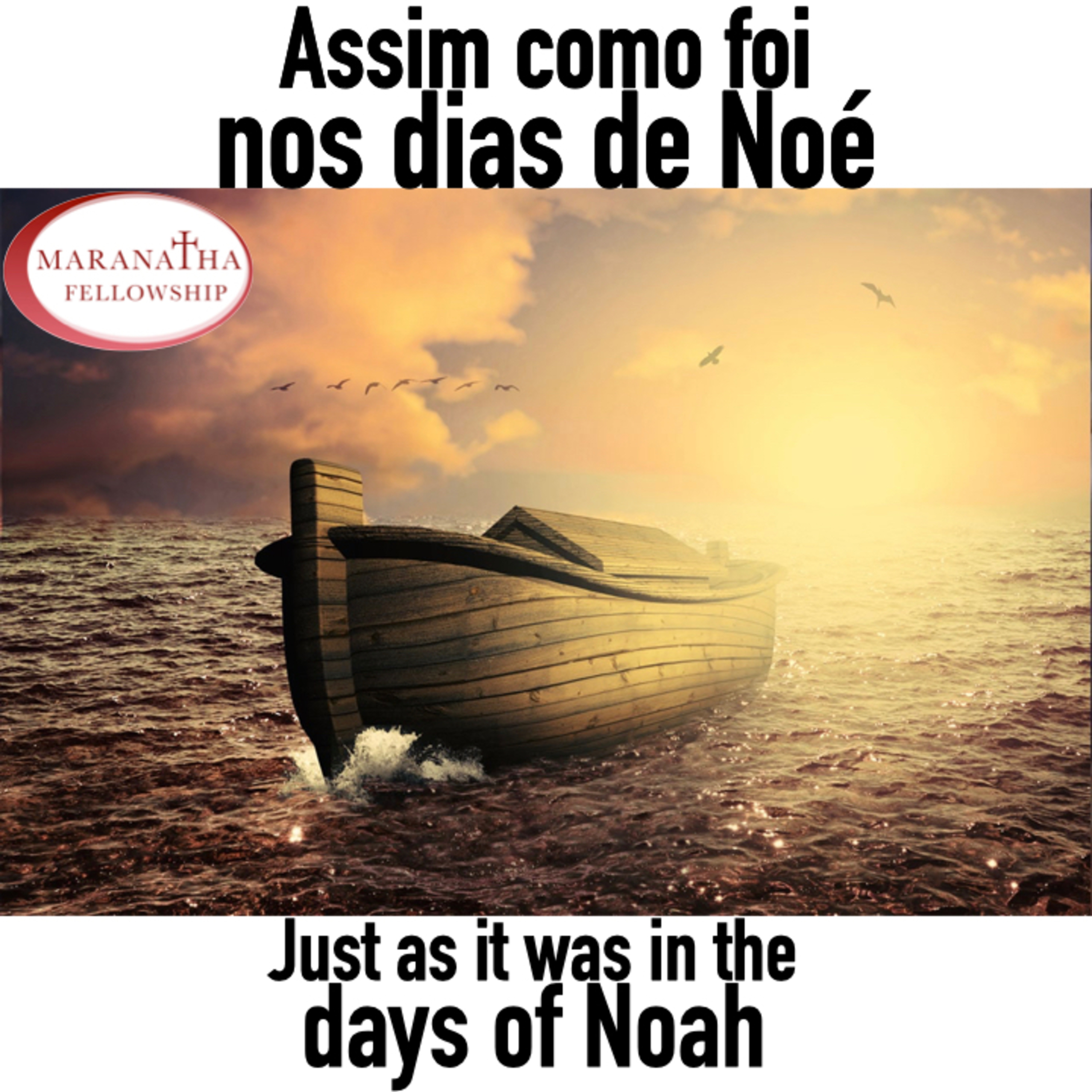 MFJ - Assim como foi nos dias de Noé (Just as it was in the days of Noah) episode artwork