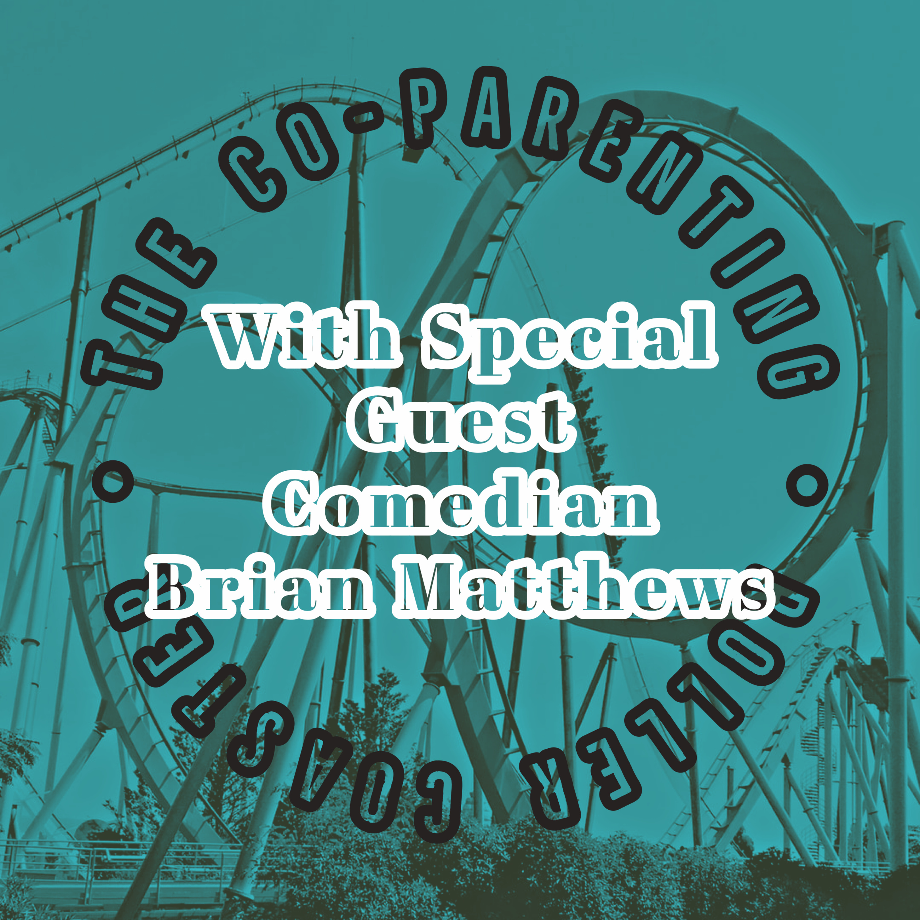 The Co-Parenting Roller Coaster