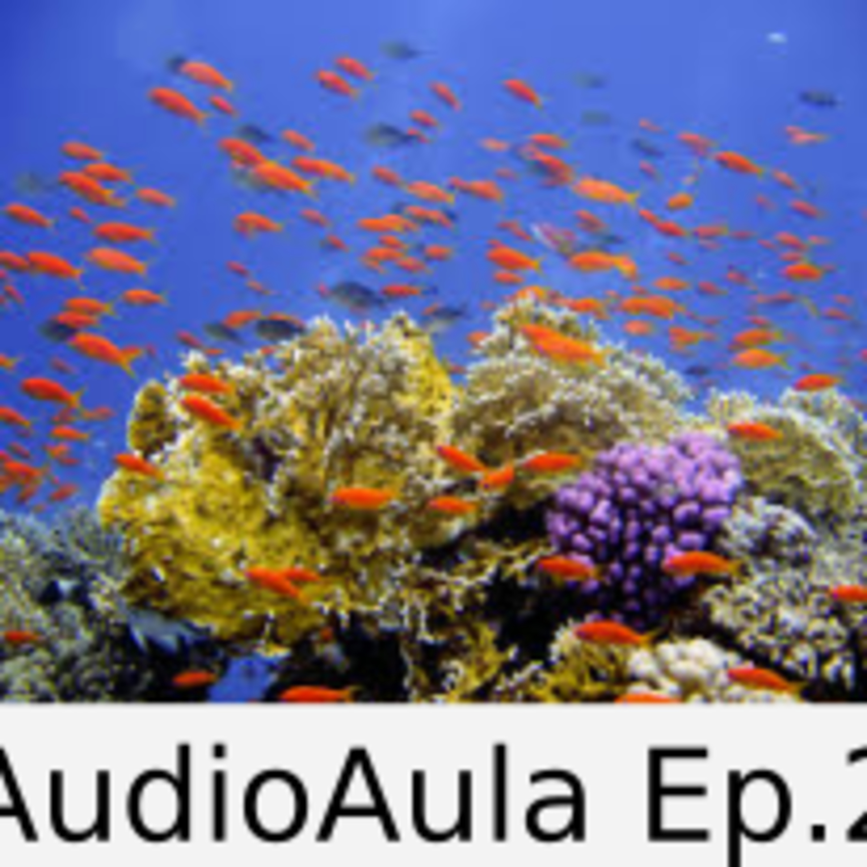 Ep02- Niveis de organização