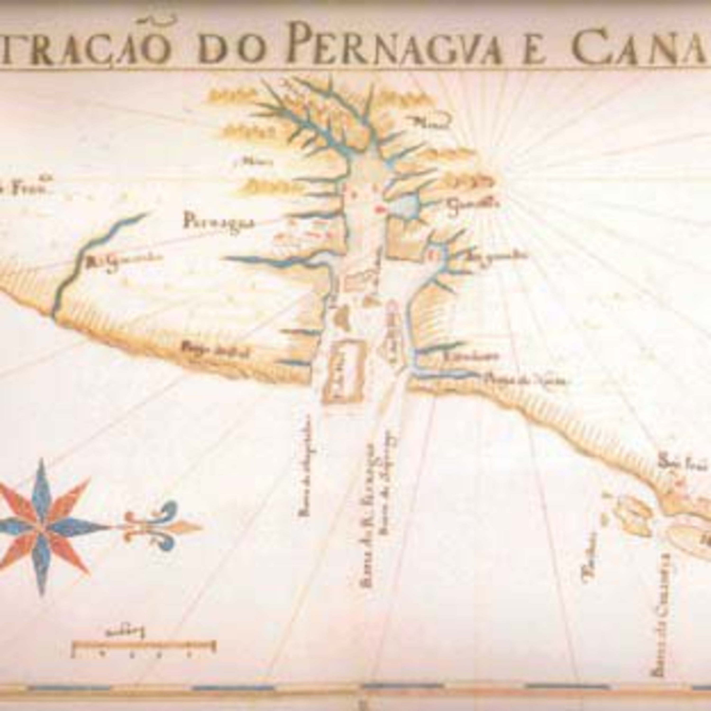 Série Biografias