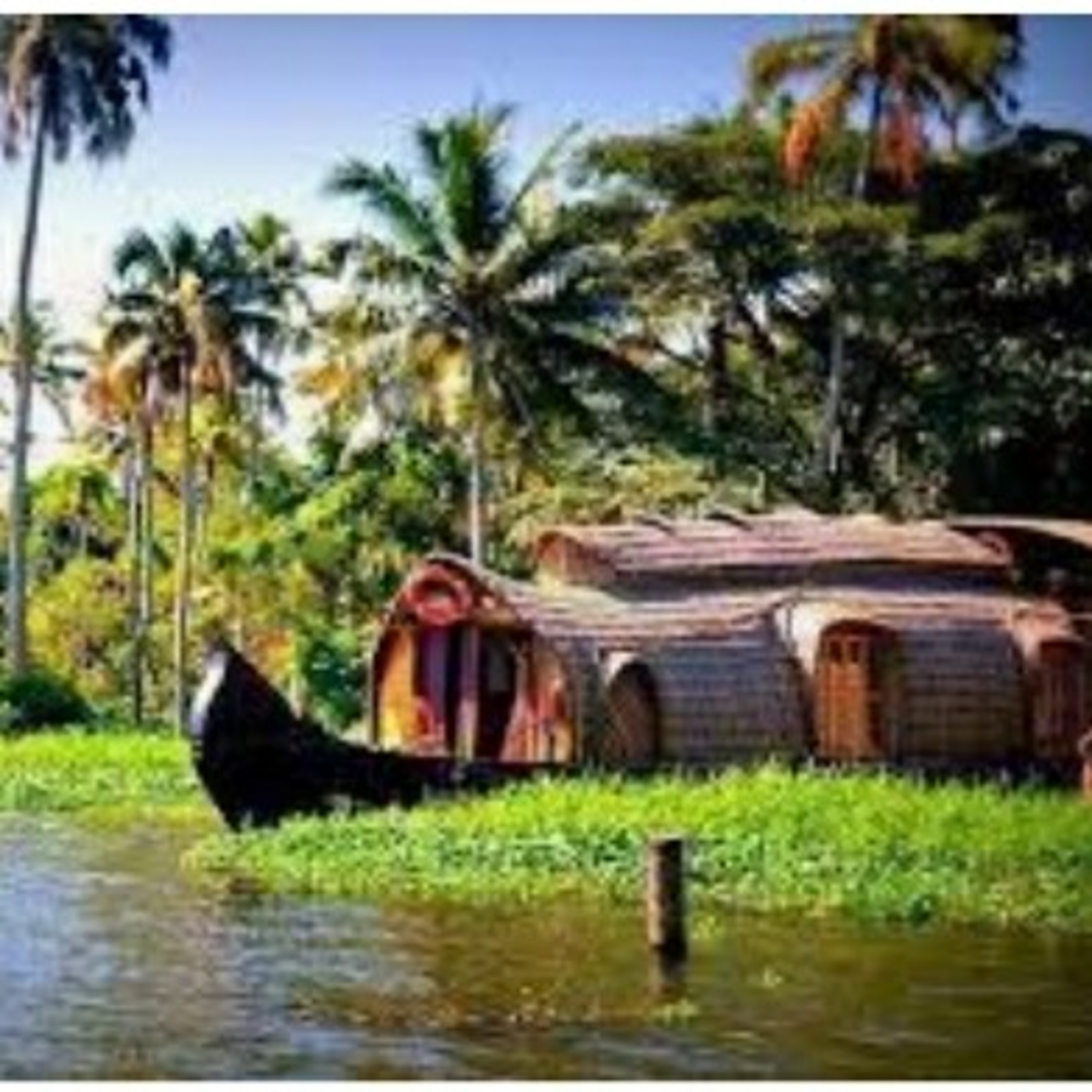 Five interesting mallu words