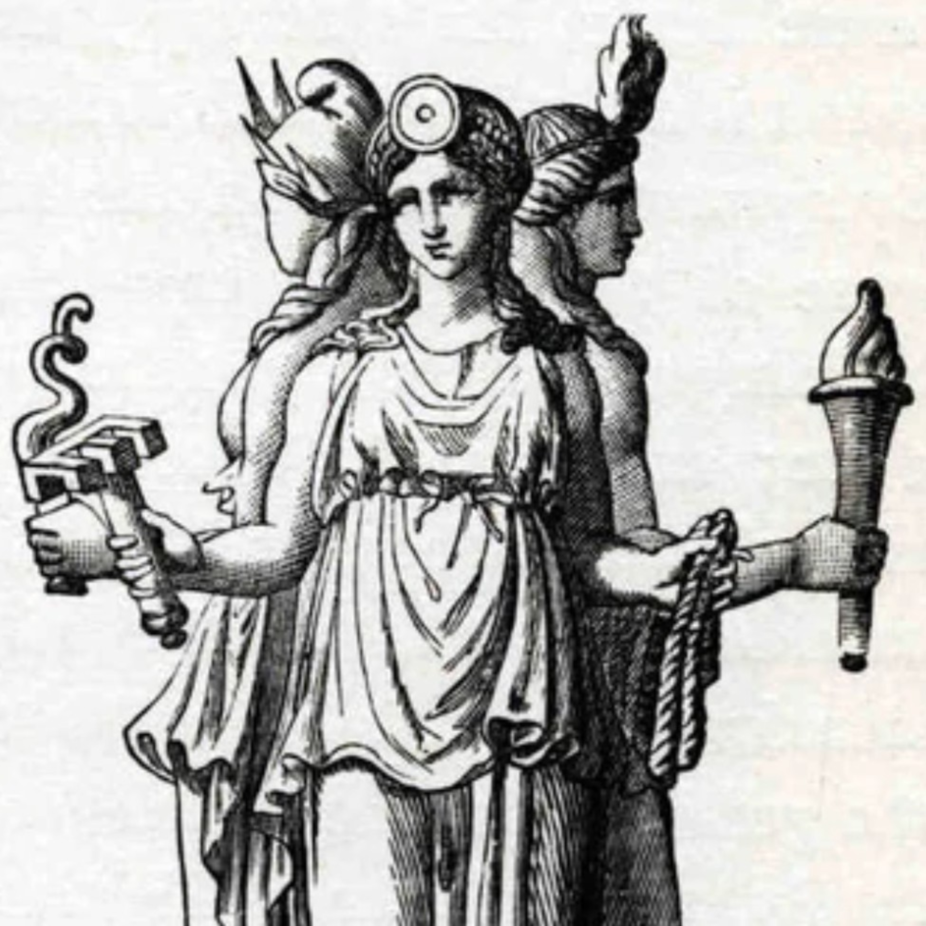 Teia de Thea