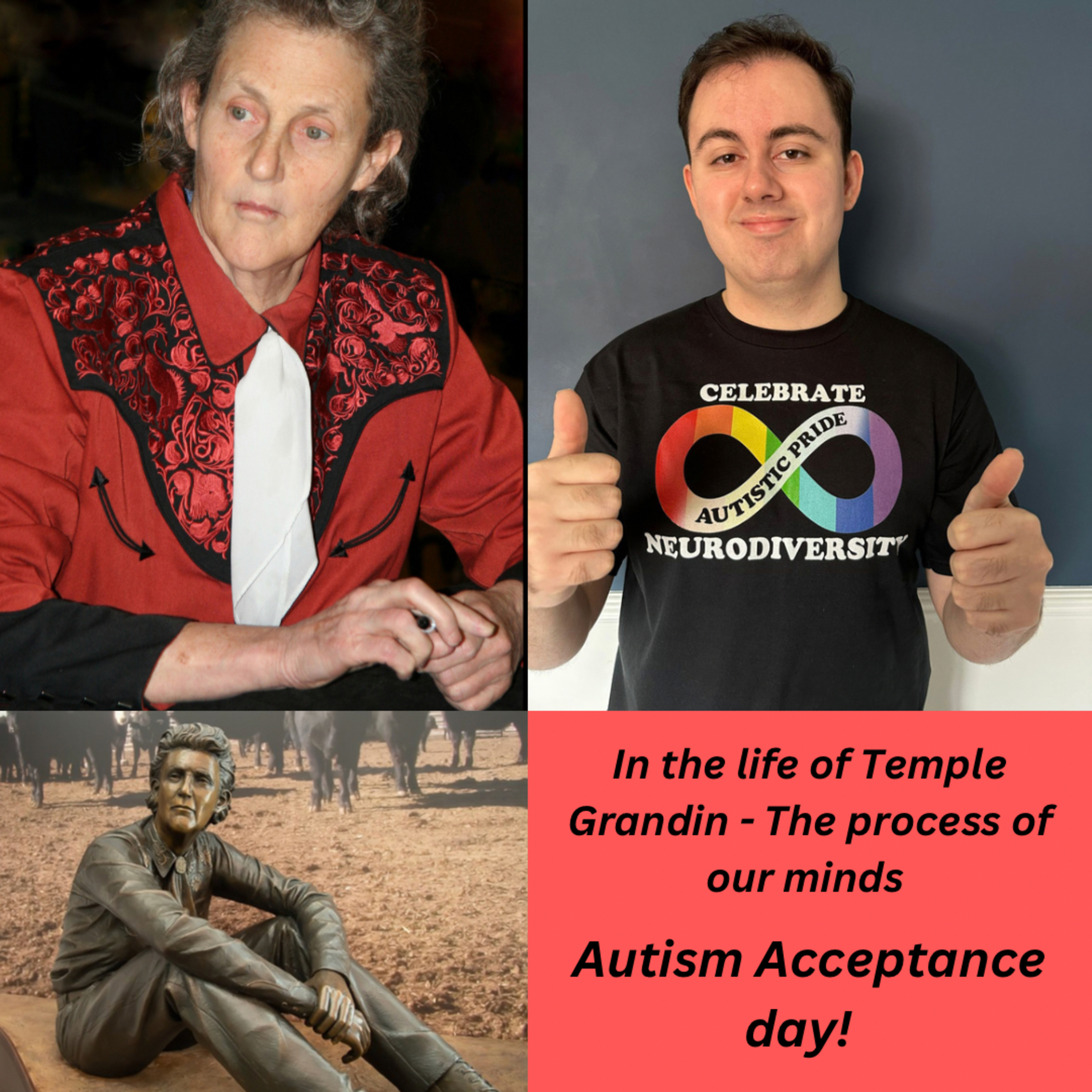 Autism Acceptance Day: In the life of Temple Grandin - The process of our minds  episode artwork