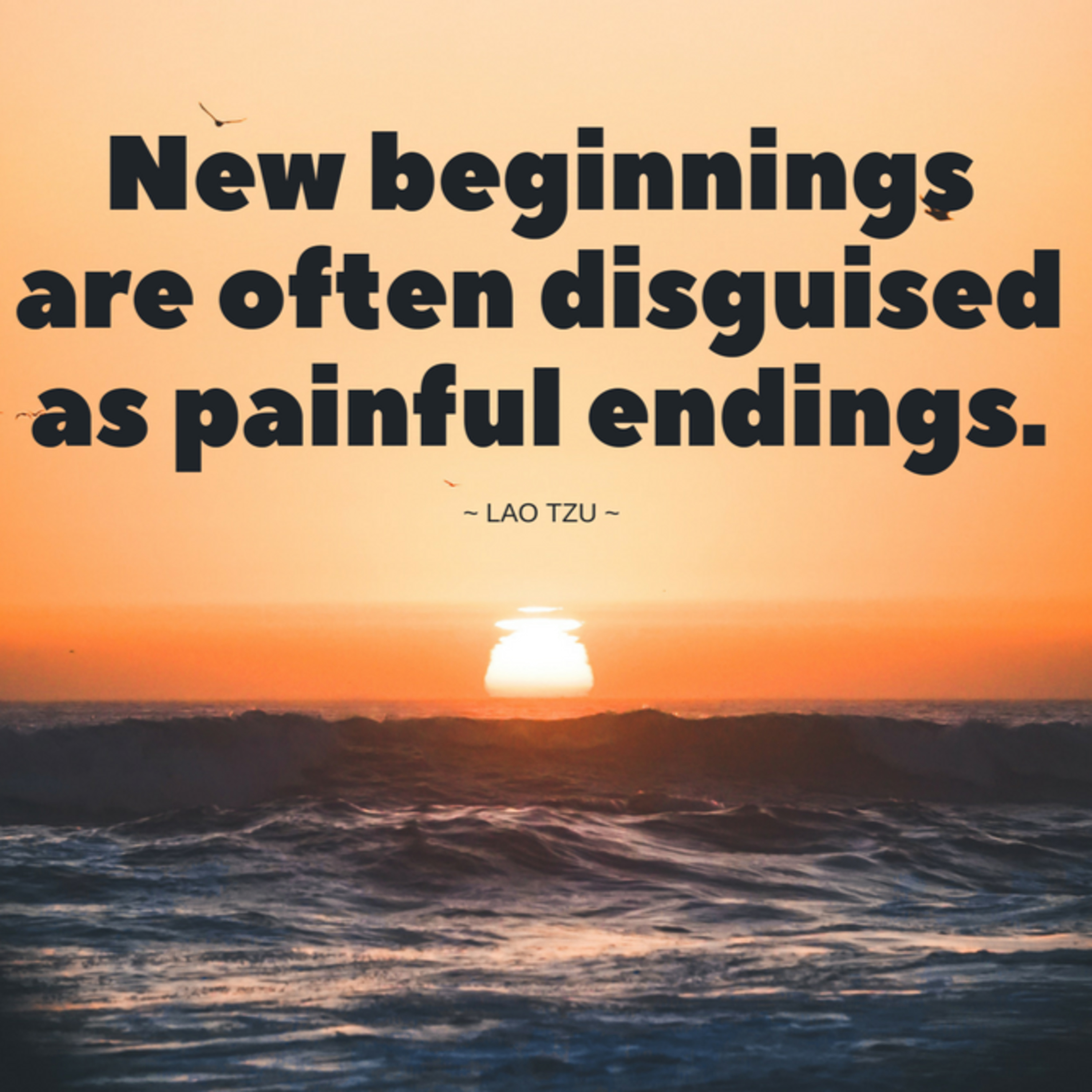New Beginnings episode artwork
