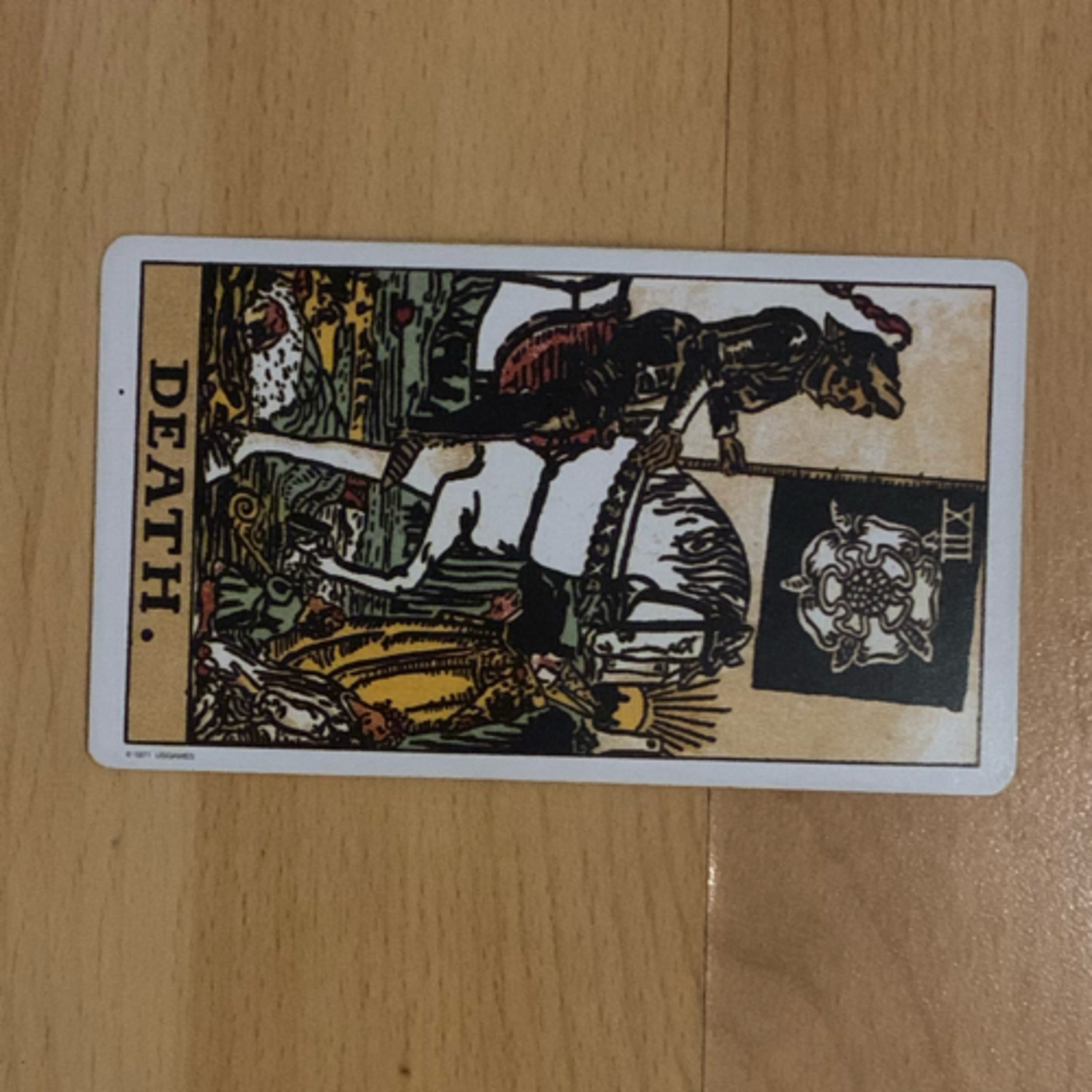 Daily tarot & oracle cards 😊
