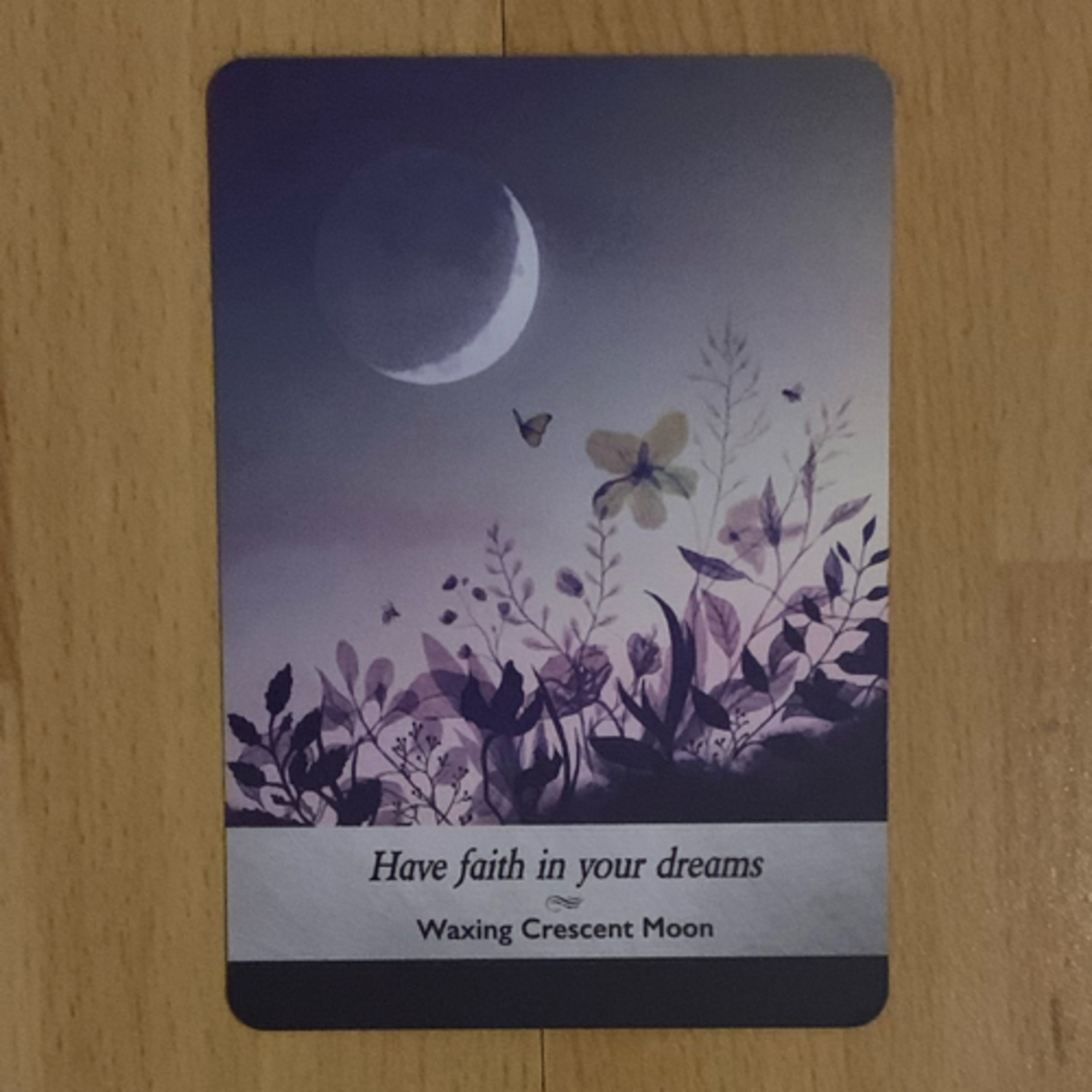 Daily tarot & oracle cards 😊