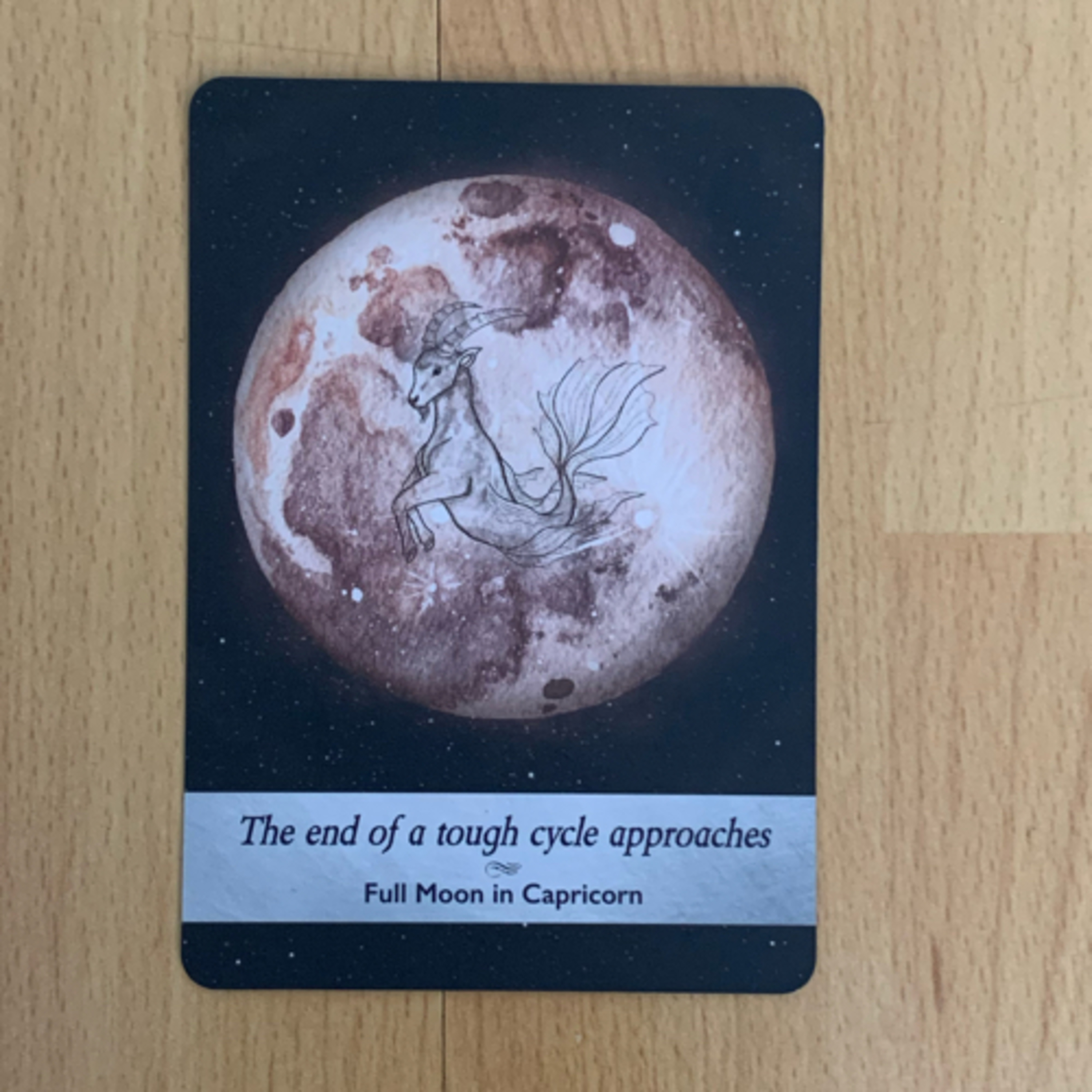 Daily tarot & oracle cards 😊