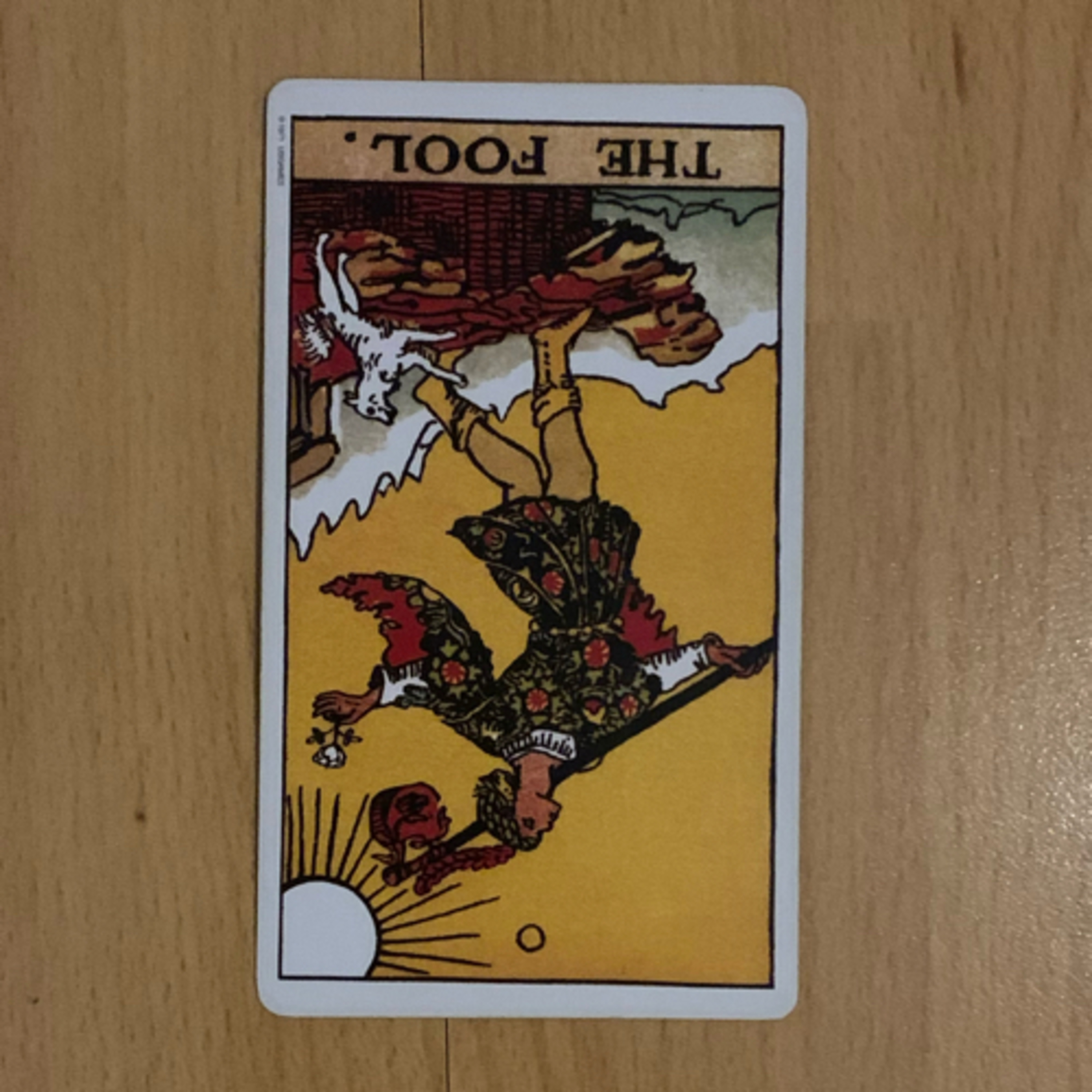 Daily tarot & oracle cards 😊