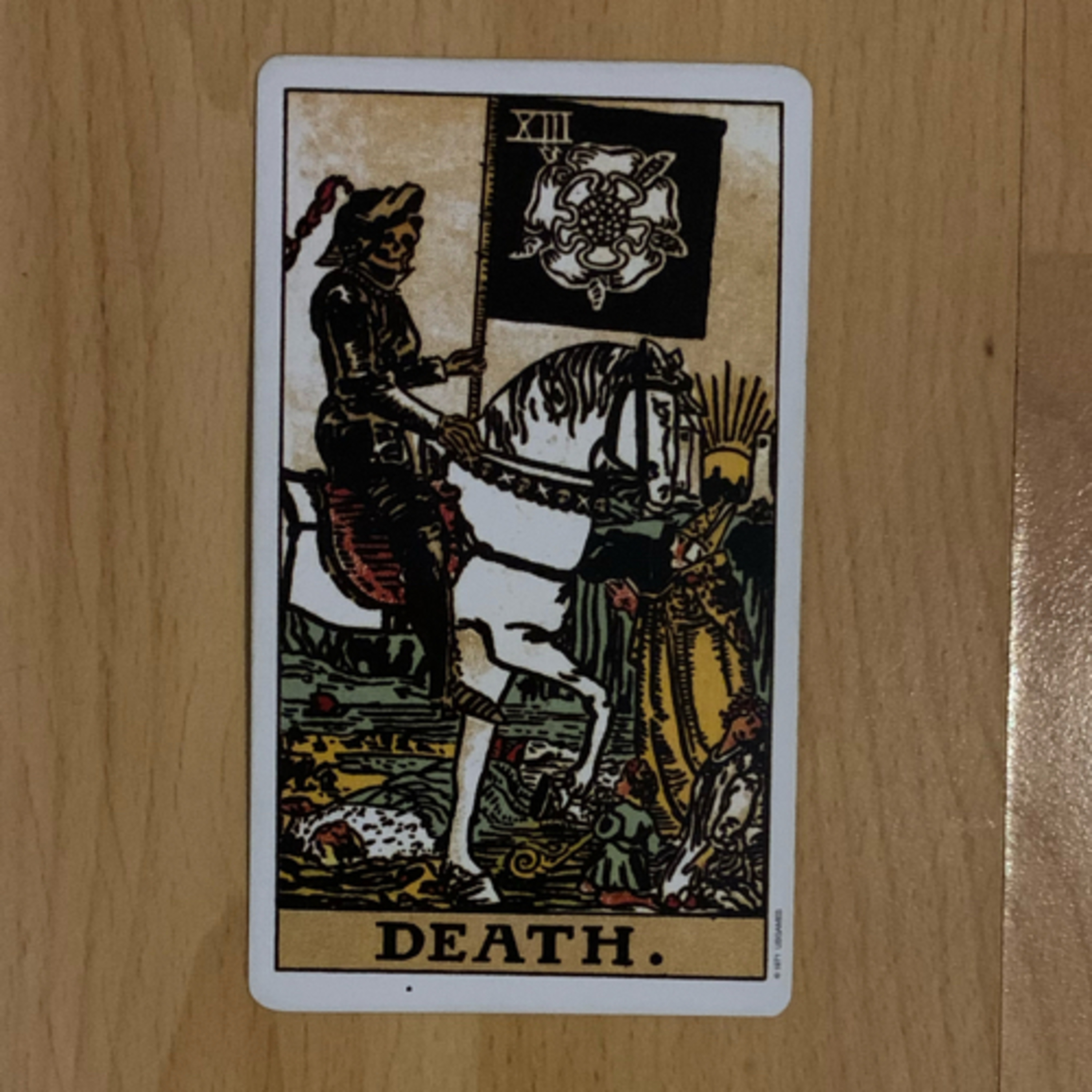 Daily tarot & oracle cards 😊