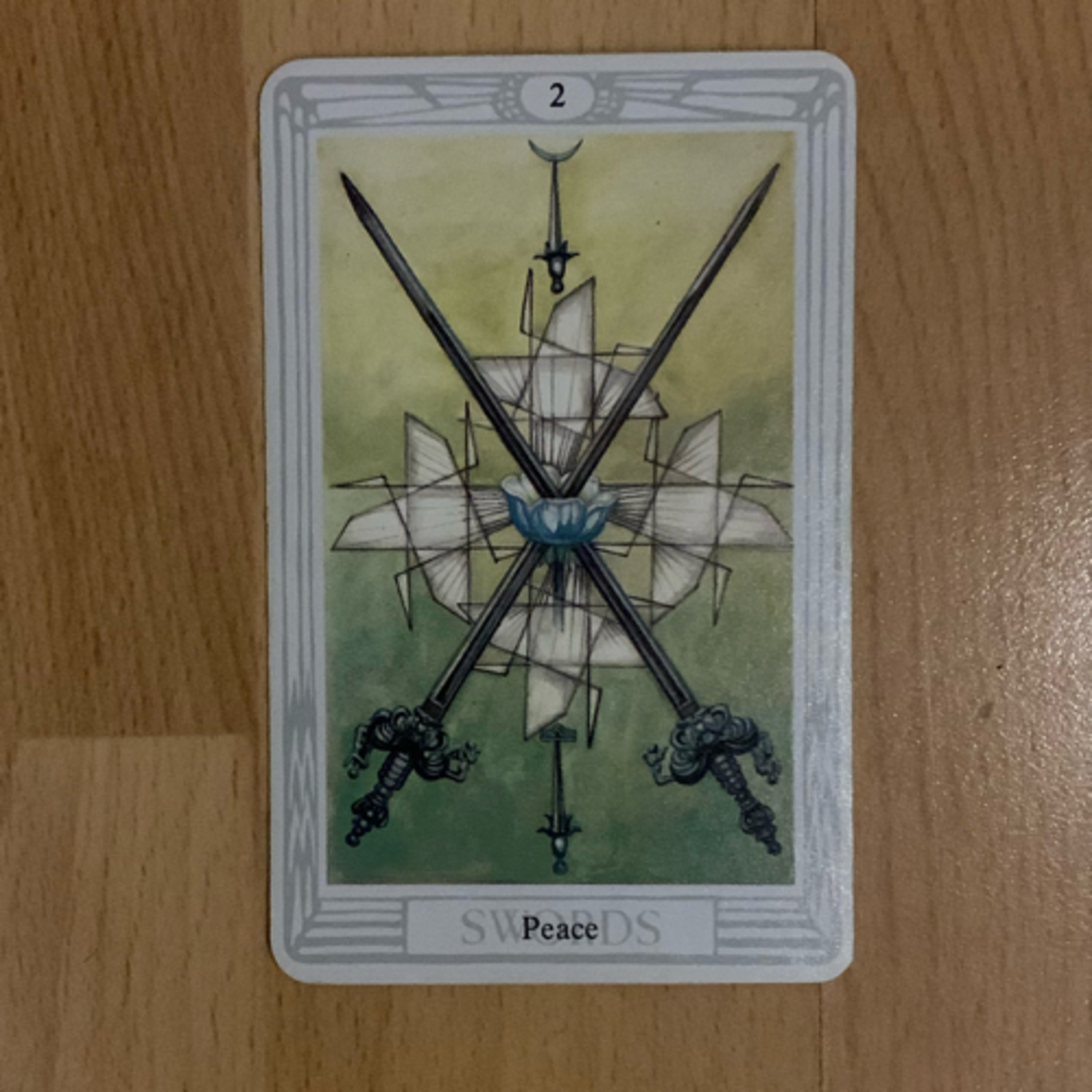 Daily tarot & oracle cards 😊
