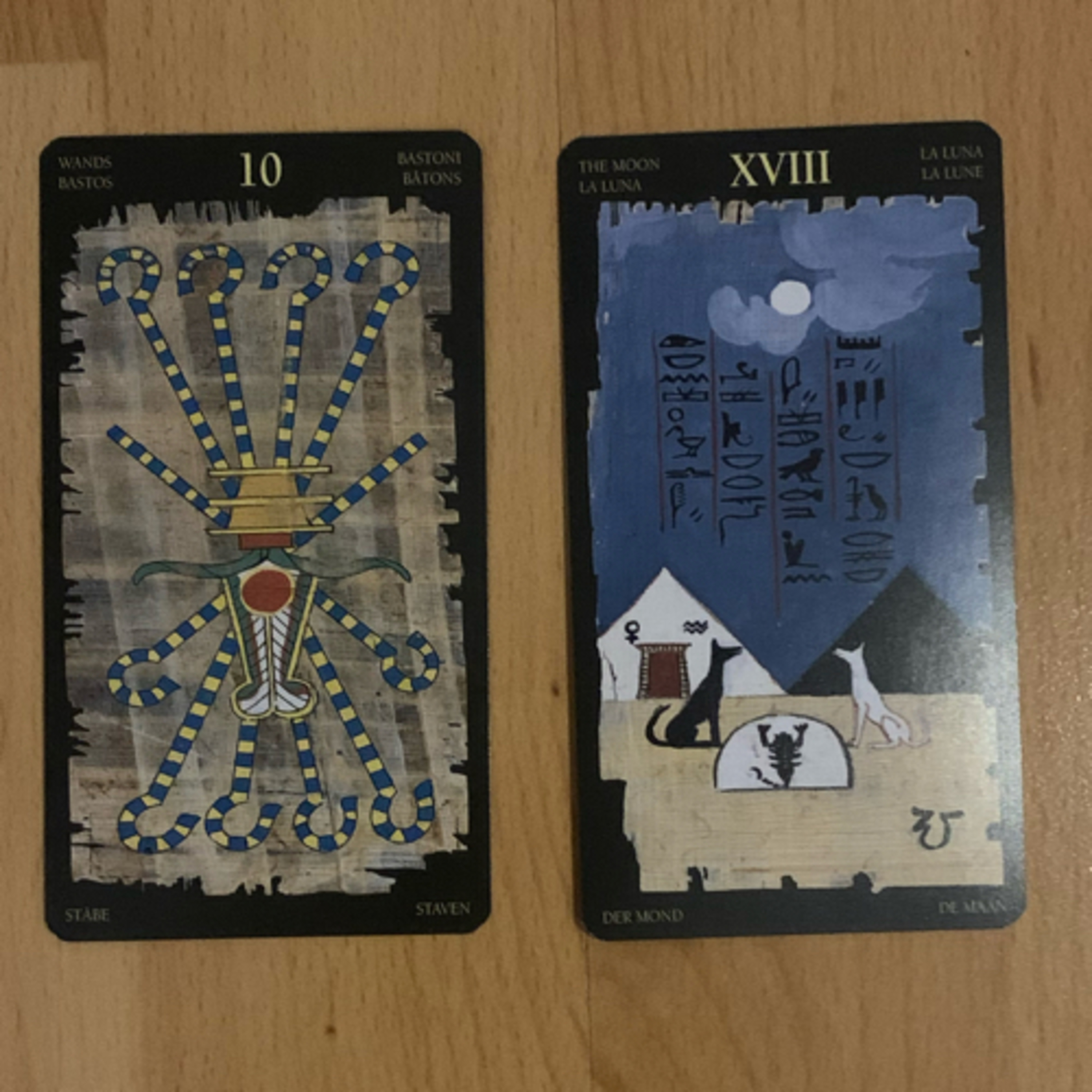 Daily tarot & oracle cards 😊