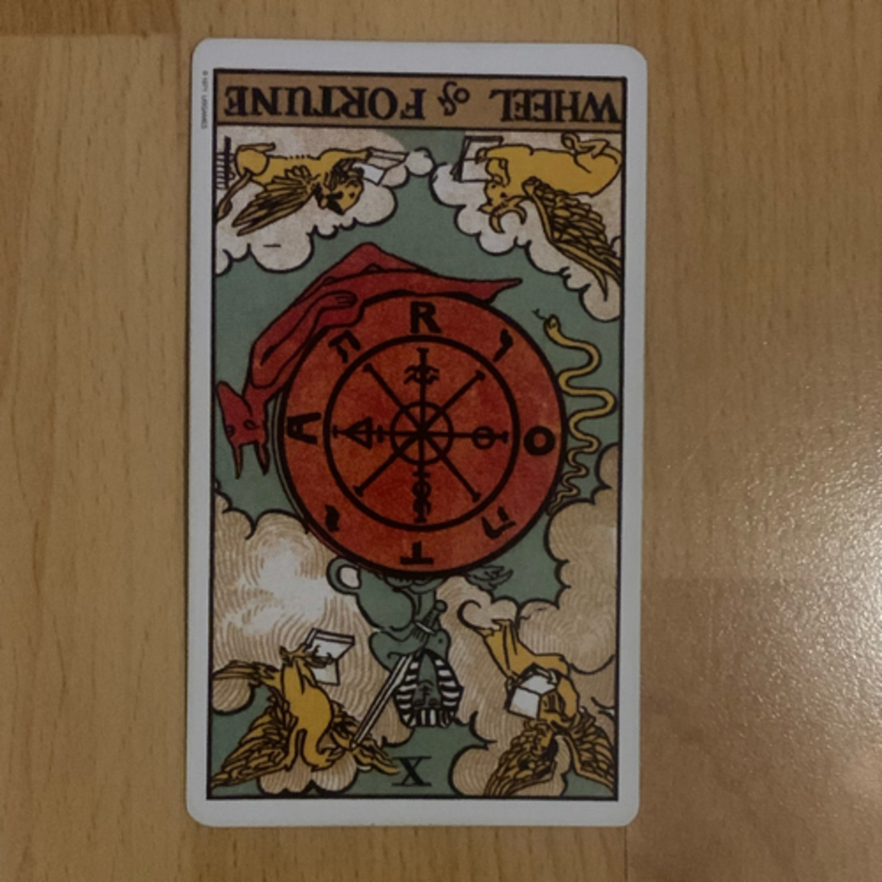 Daily tarot & oracle cards 😊