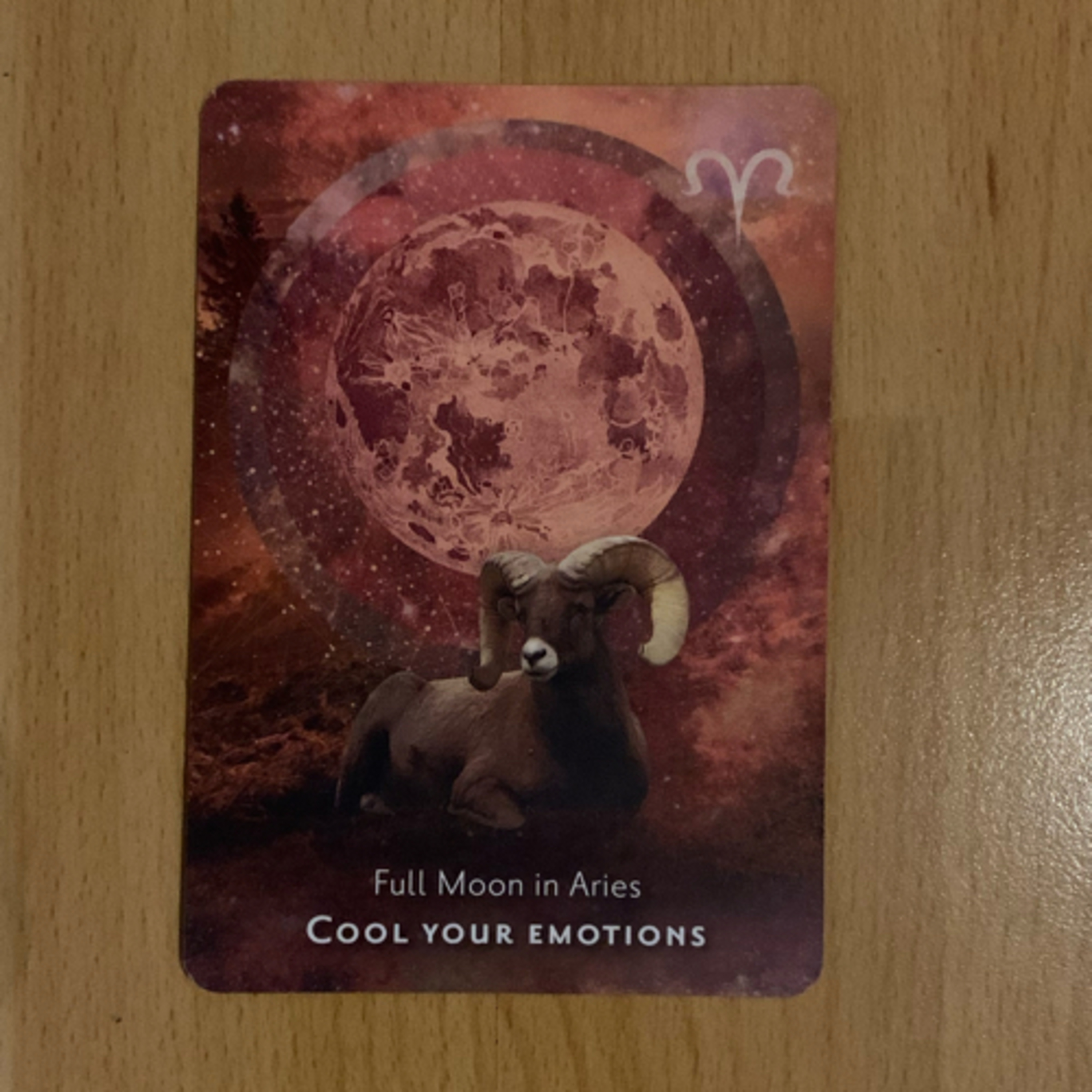 Daily tarot & oracle cards 😊